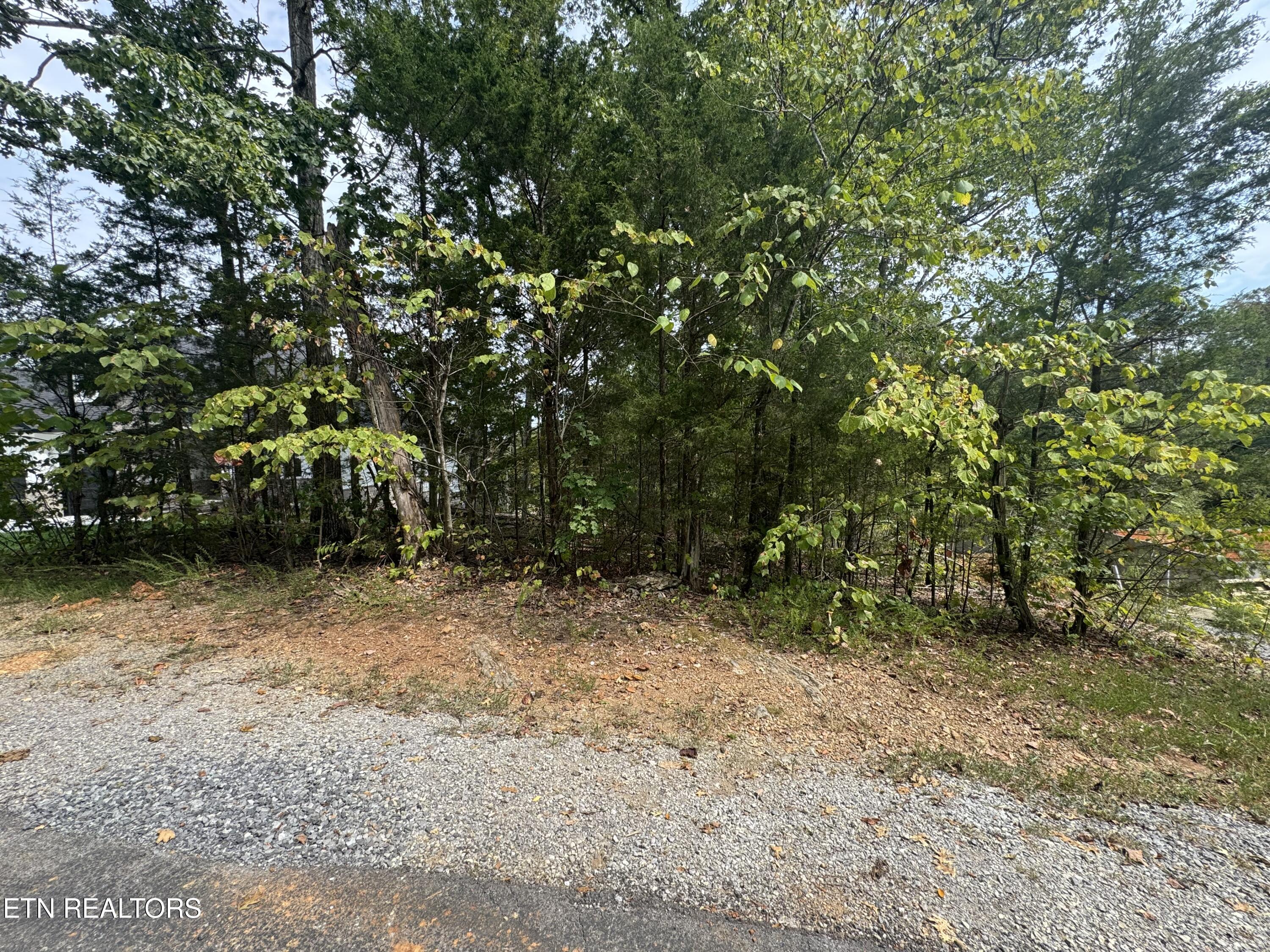 103 Odali Lane Loudon TN 37774