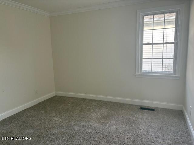 2011 Fine Avenue Knoxville TN 37917