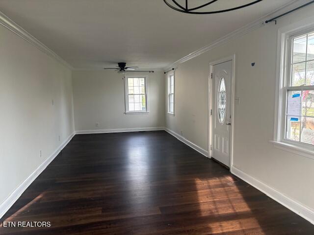 2011 Fine Avenue Knoxville TN 37917