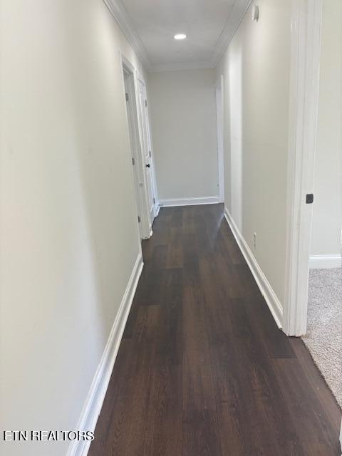 2011 Fine Avenue Knoxville TN 37917