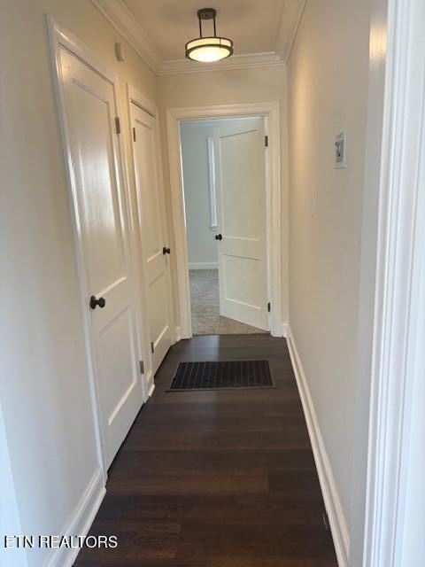2011 Fine Avenue Knoxville TN 37917