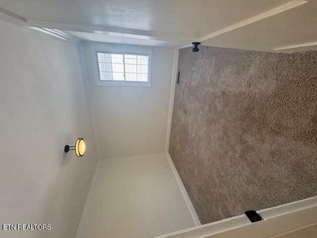 2011 Fine Avenue Knoxville TN 37917
