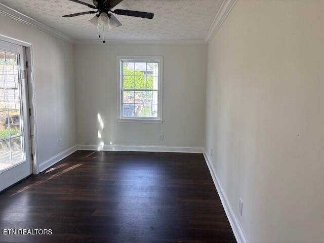 2011 Fine Avenue Knoxville TN 37917