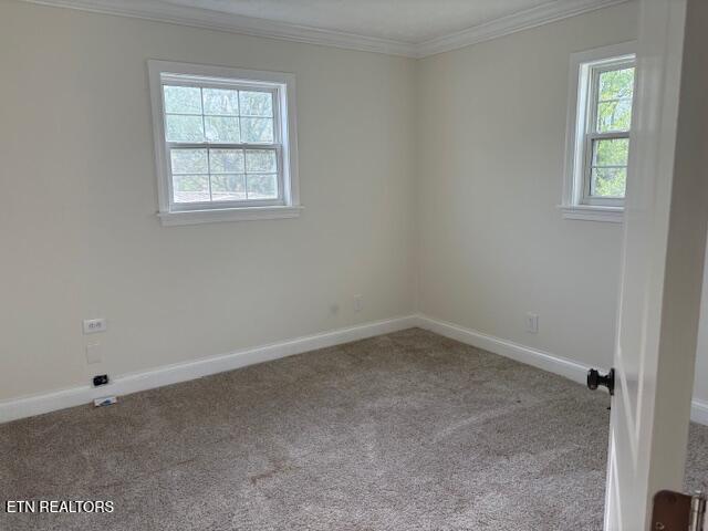 2011 Fine Avenue Knoxville TN 37917