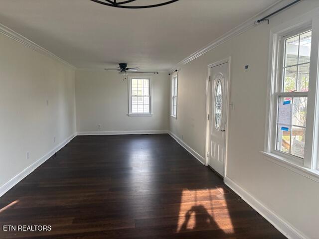 2011 Fine Avenue Knoxville TN 37917