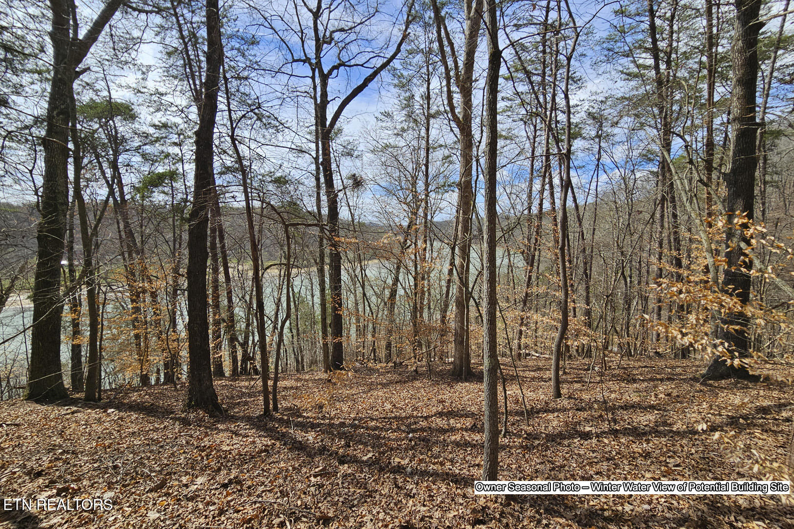 880 Skyline Drive Harriman TN 37748