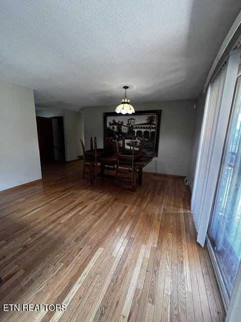 119 Mountain View Road Jacksboro TN 37757