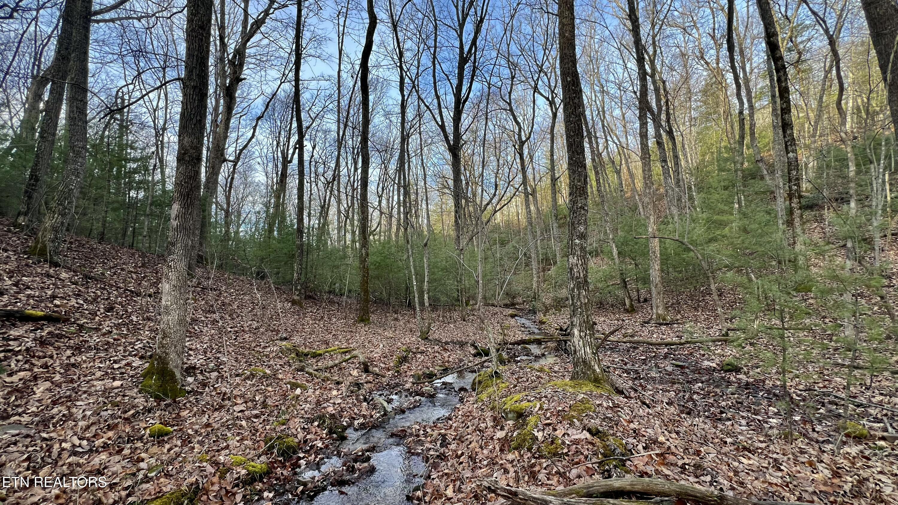 31 Byron Lane Crossville TN 38558