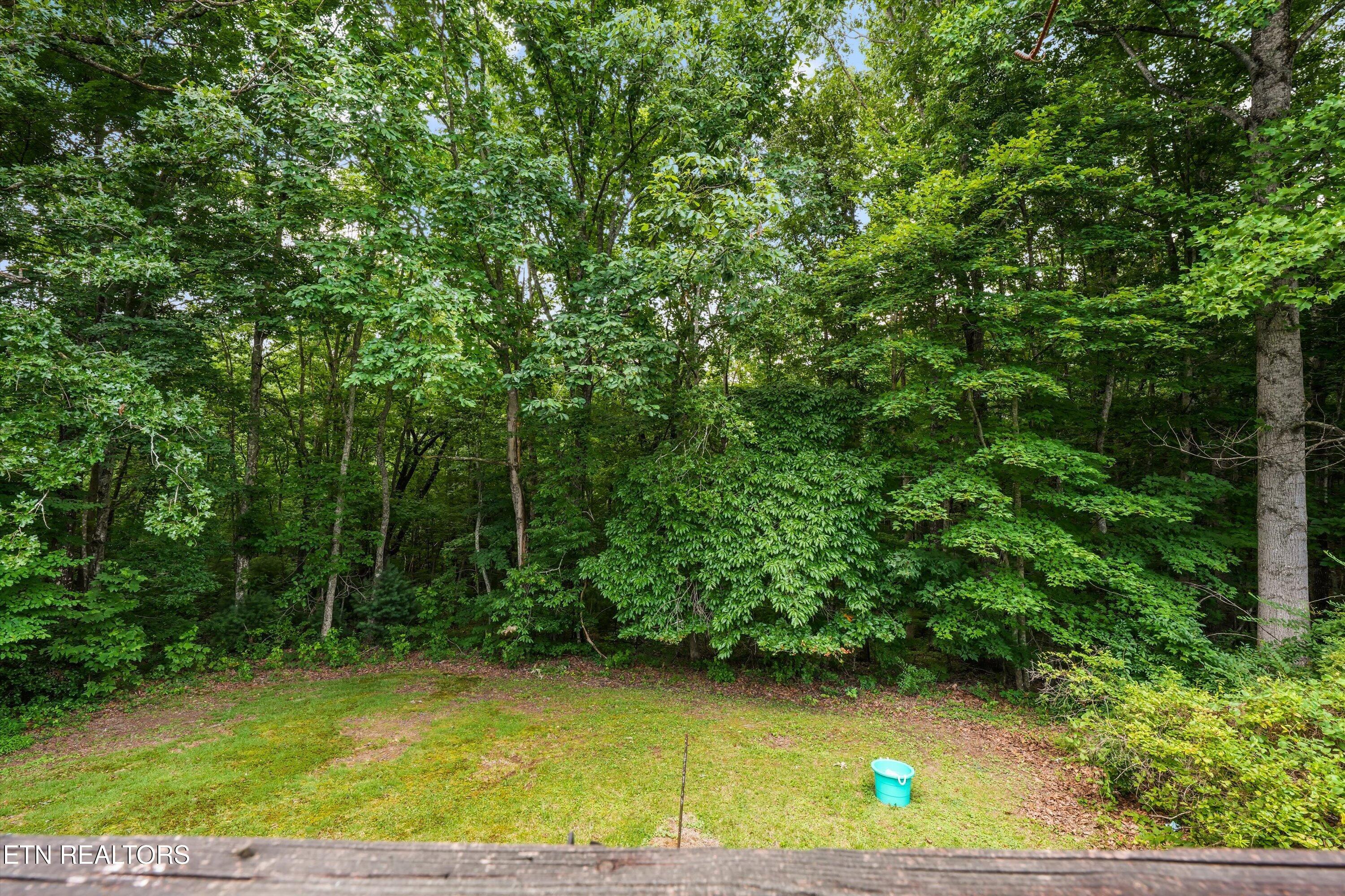 748 Christenson Road Deer Lodge TN 37726