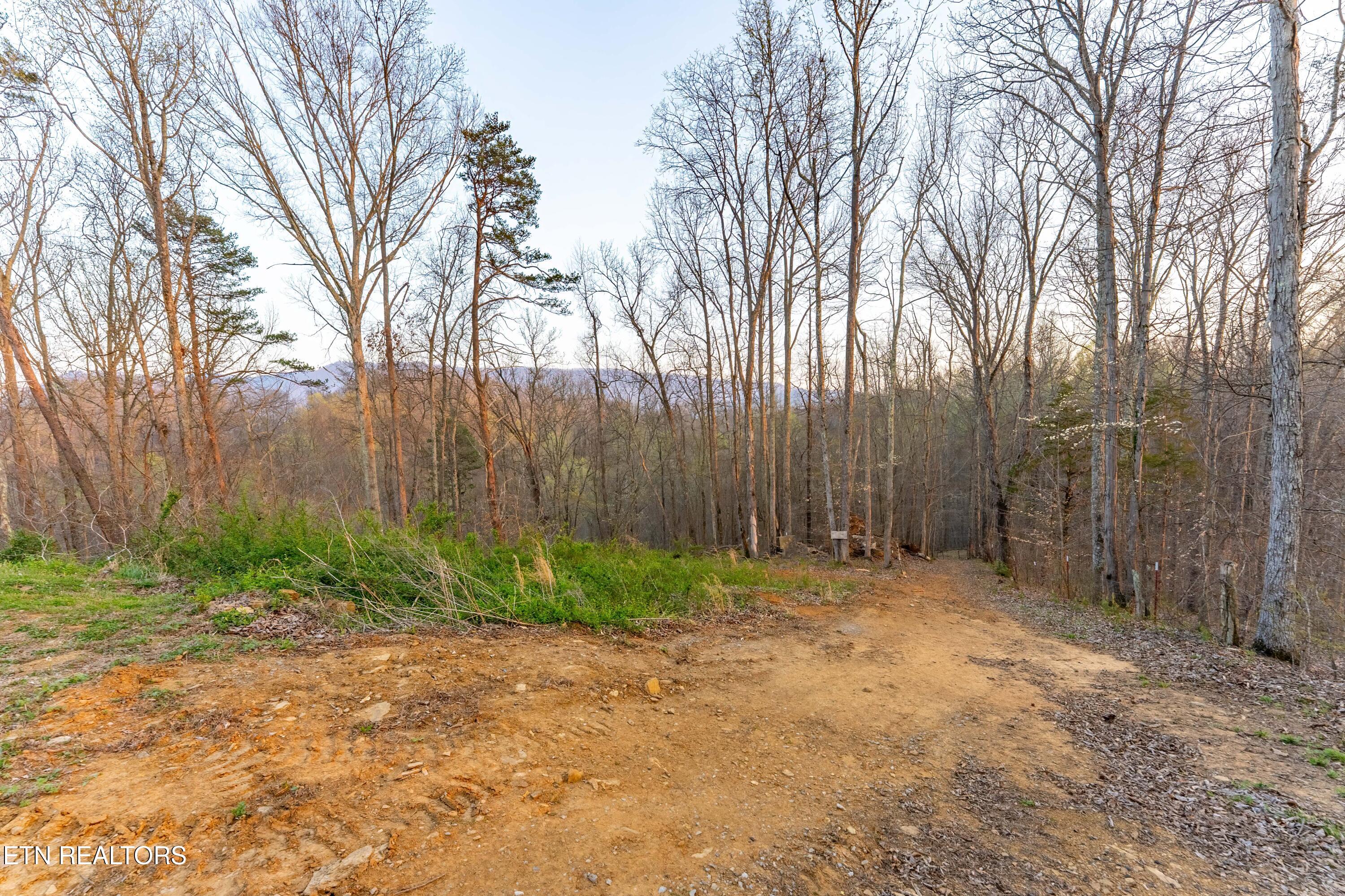 335 S Rogers Road Seymour TN 37865