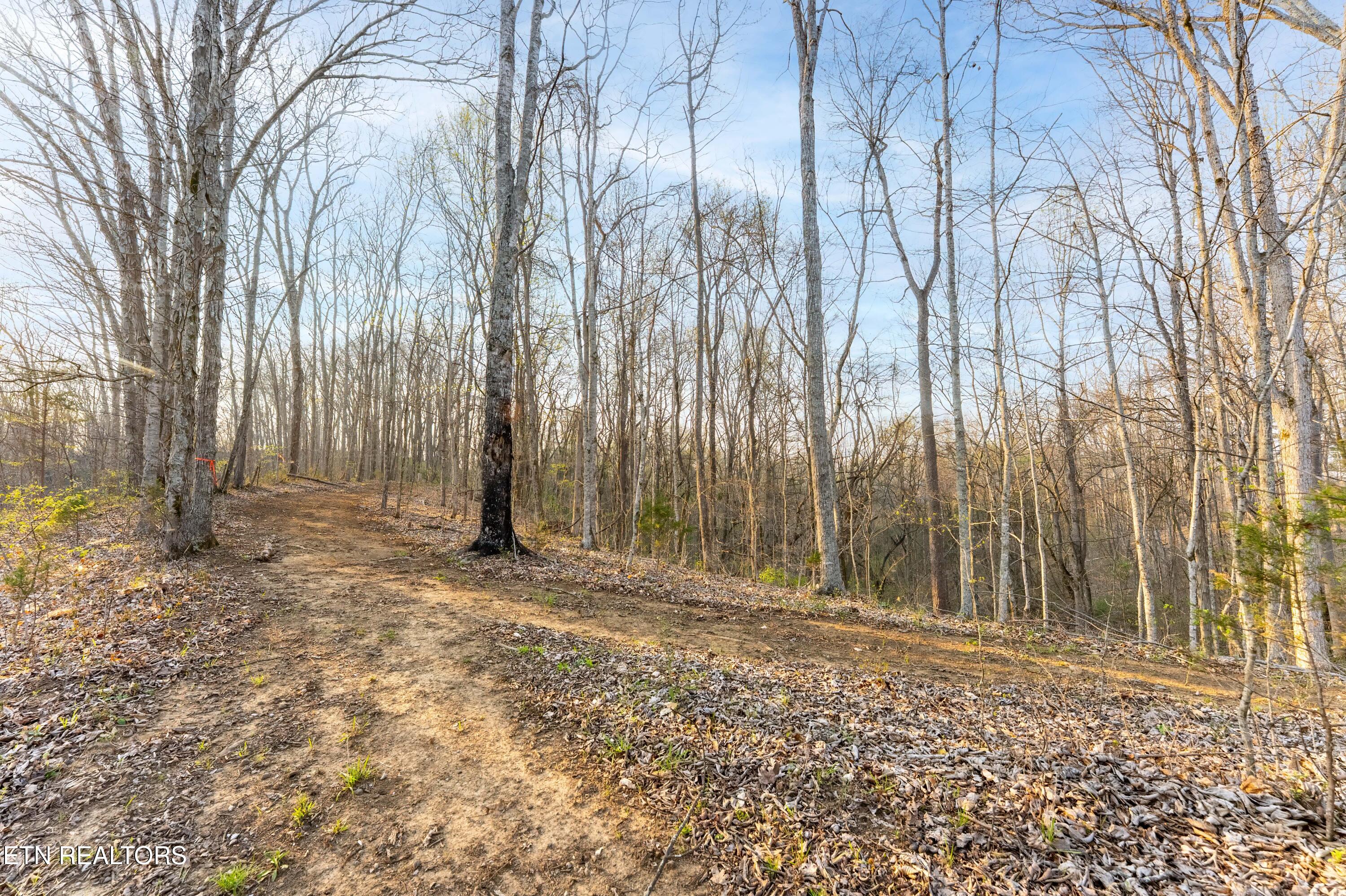 335 S Rogers Road Seymour TN 37865