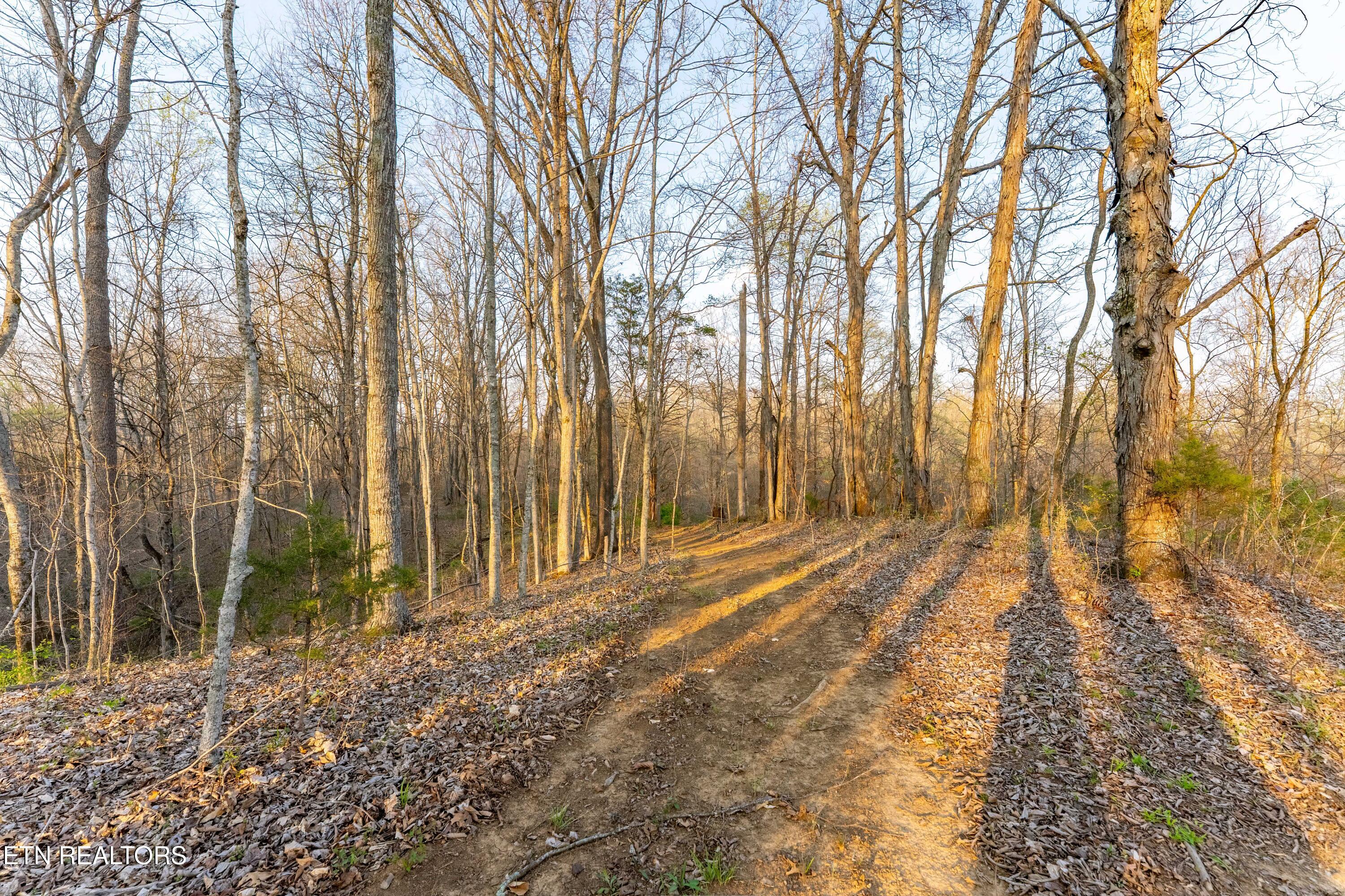 335 S Rogers Road Seymour TN 37865