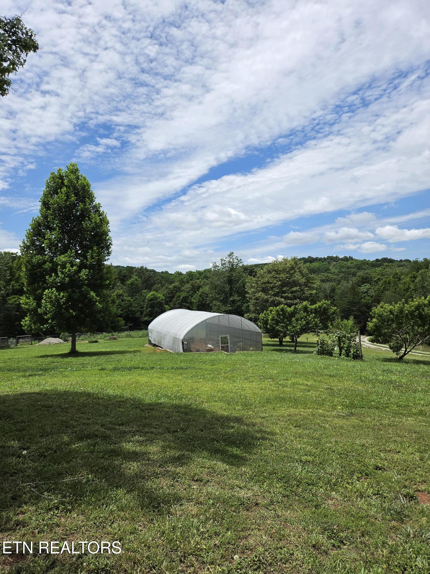 1302 Cummingsville/sparkmantown Road Doyle TN 38559