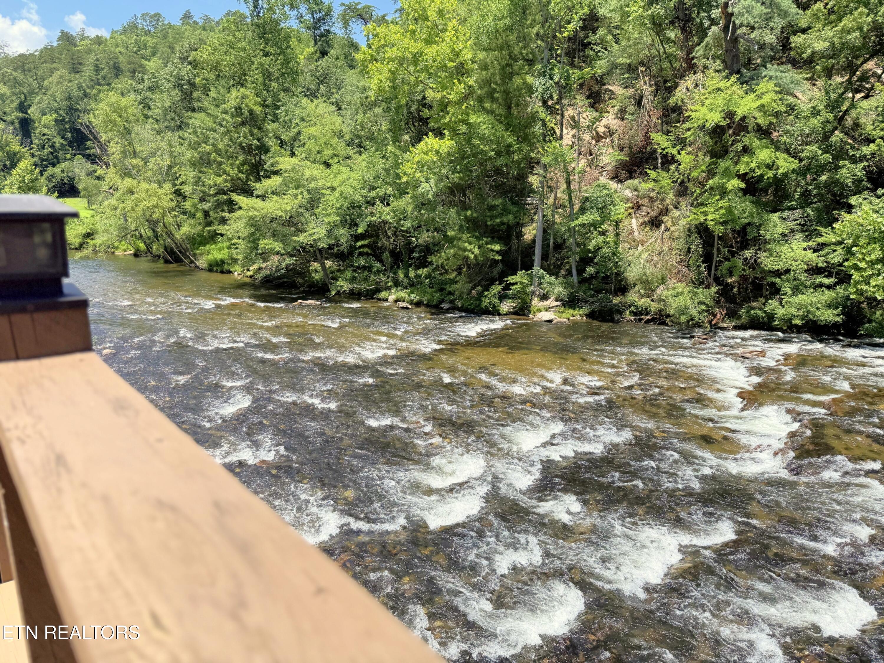 1659 Cherohala Skway Tellico Plains TN 37385