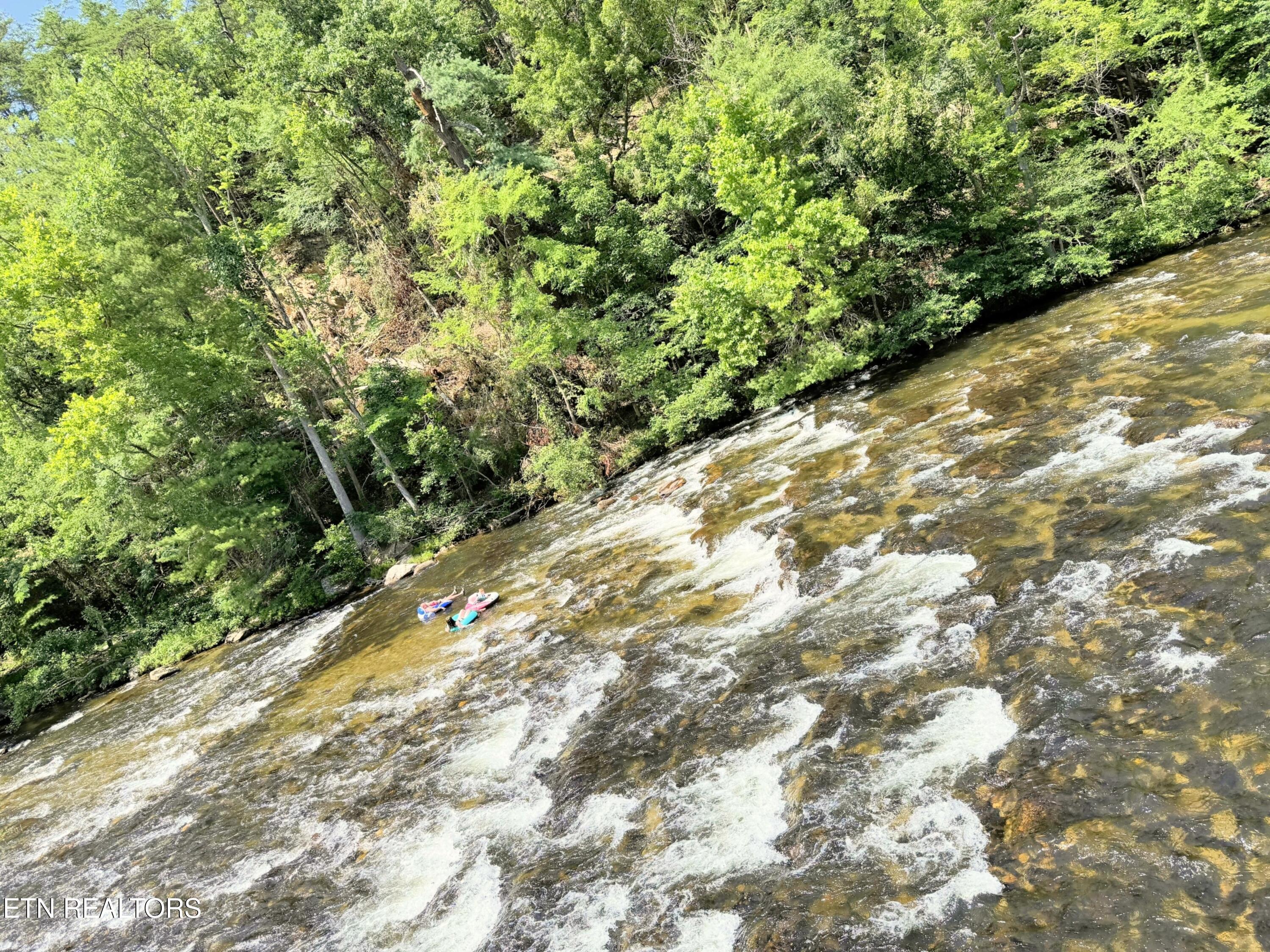 1659 Cherohala Skway Tellico Plains TN 37385