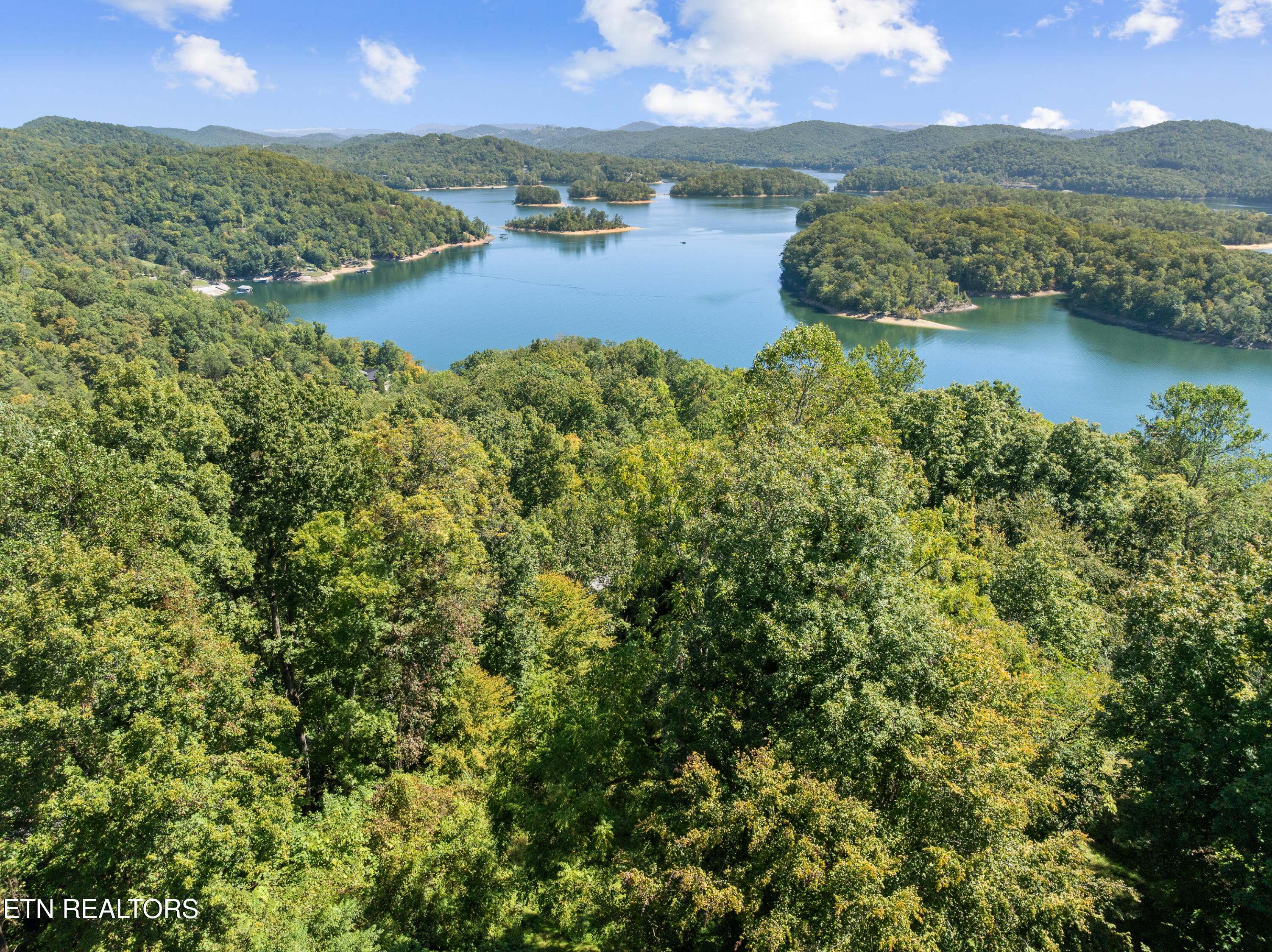 1130 Lakeview Drive Sharps Chapel TN 37866