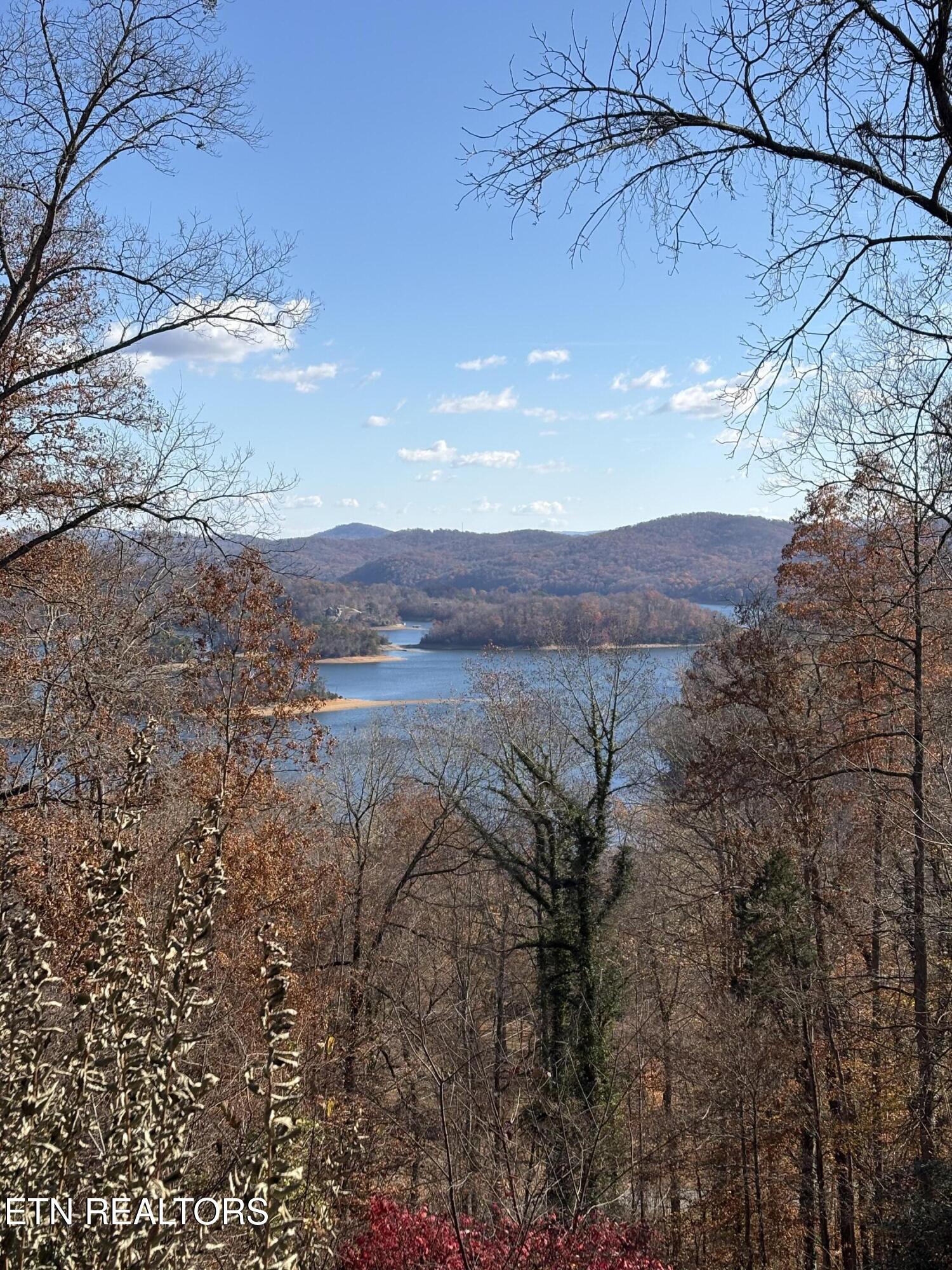 1130 Lakeview Drive Sharps Chapel TN 37866