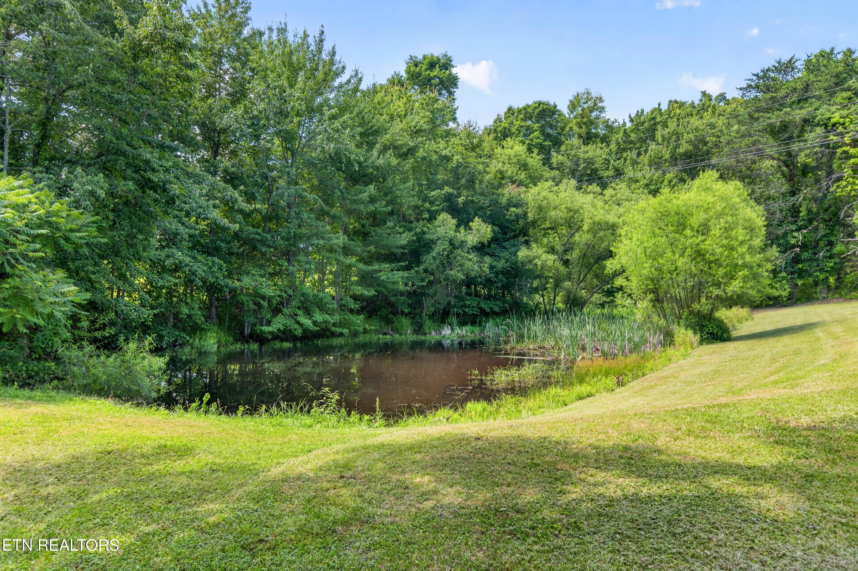 147 Bradbury Lane Crossville TN 38555