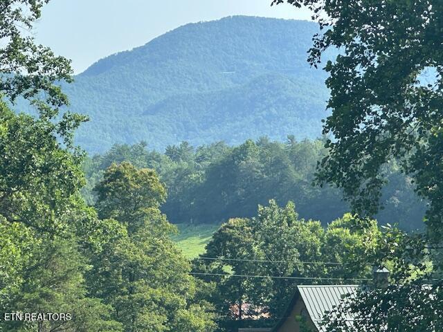584 Bethel Church Road Townsend TN 37882