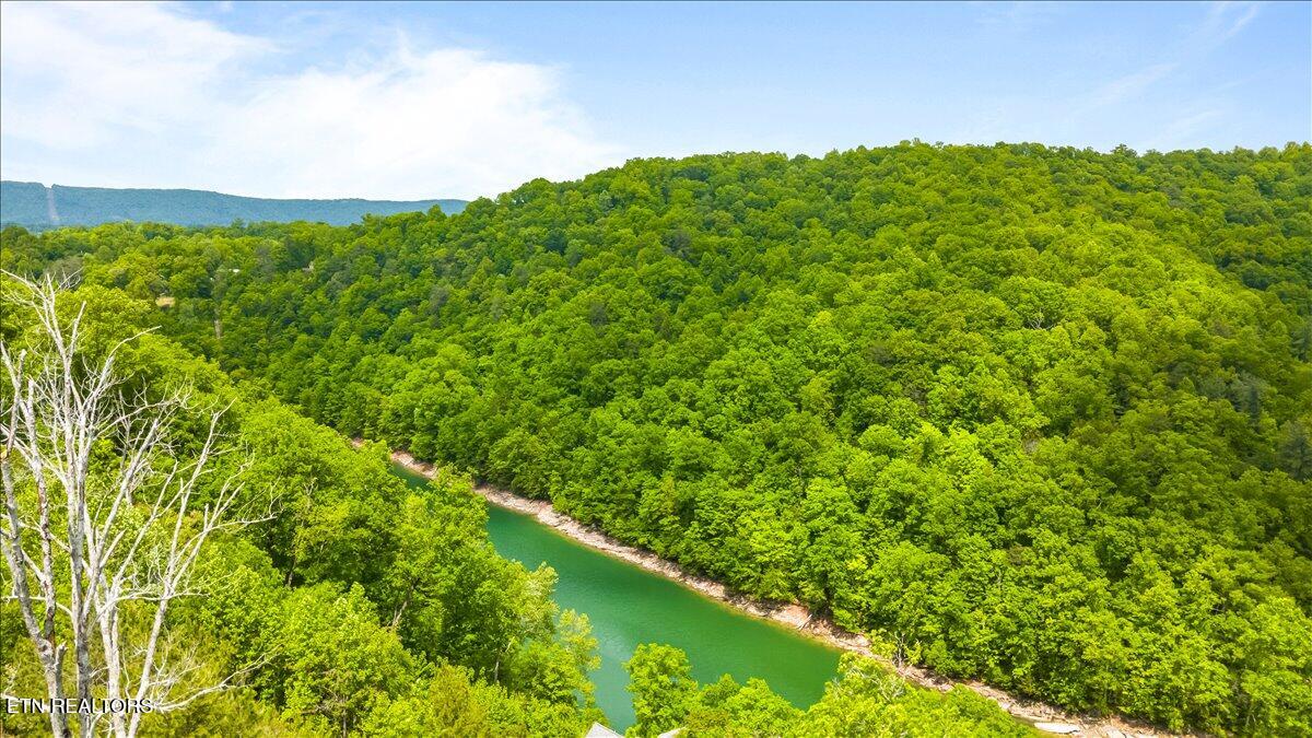 230 Foxwood Drive Caryville TN 37714