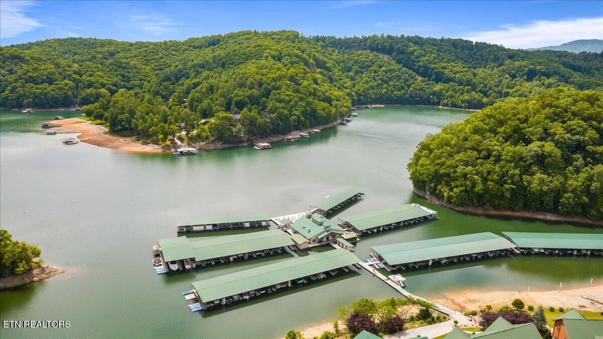 230 Foxwood Drive Caryville TN 37714