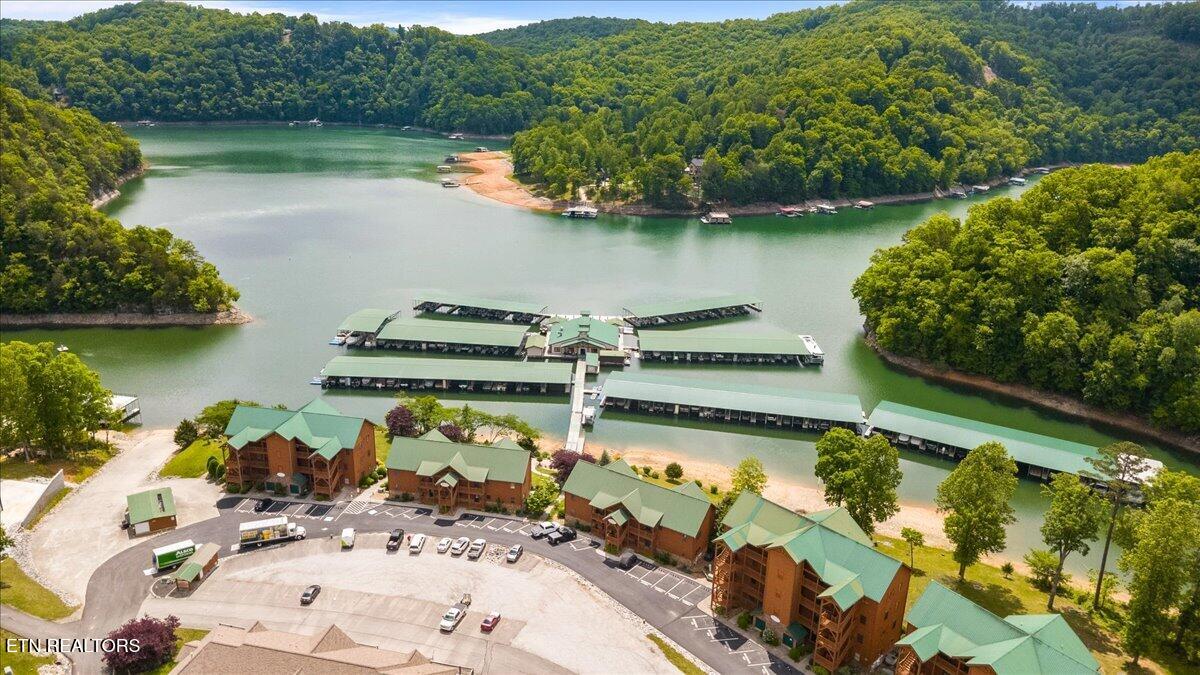 230 Foxwood Drive Caryville TN 37714