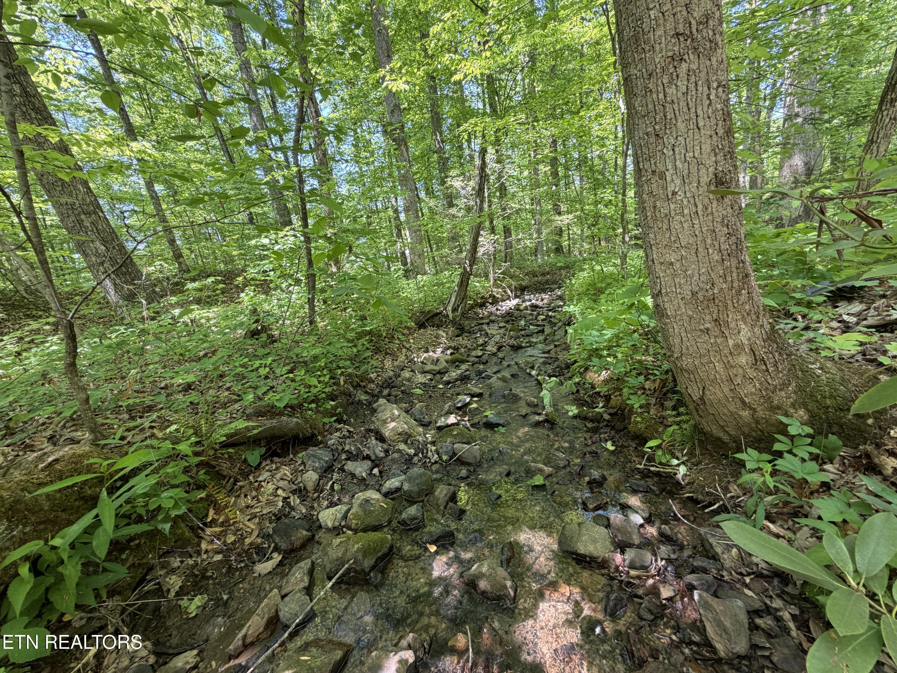 4716 Fred Jennings Road Walland TN 37886