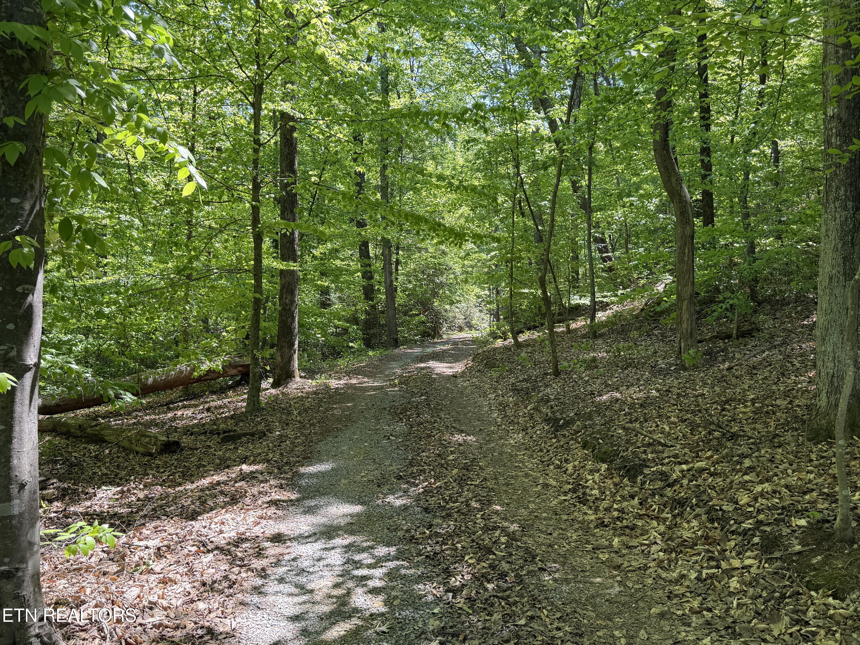 4716 Fred Jennings Road Walland TN 37886