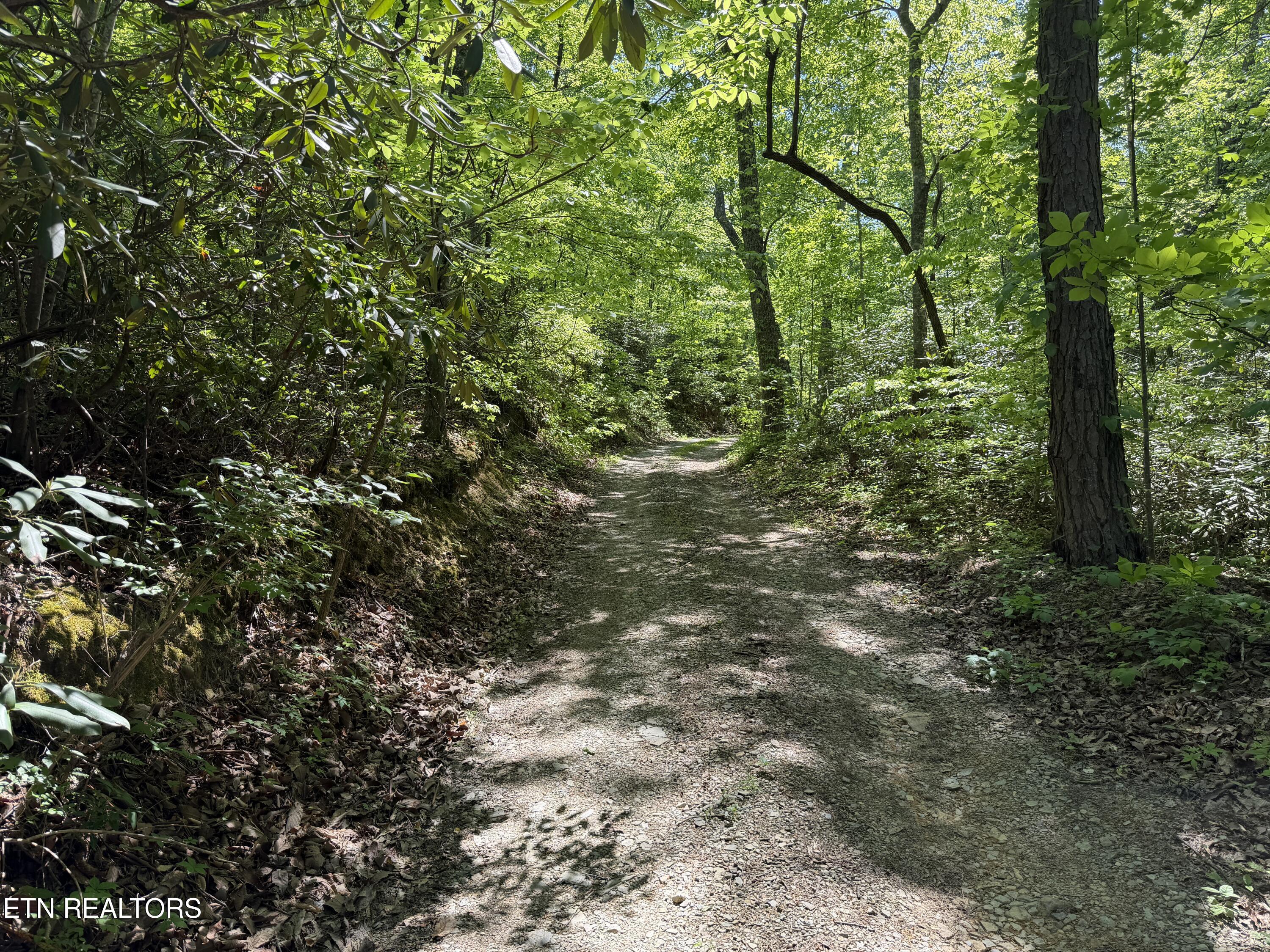 4716 Fred Jennings Road Walland TN 37886