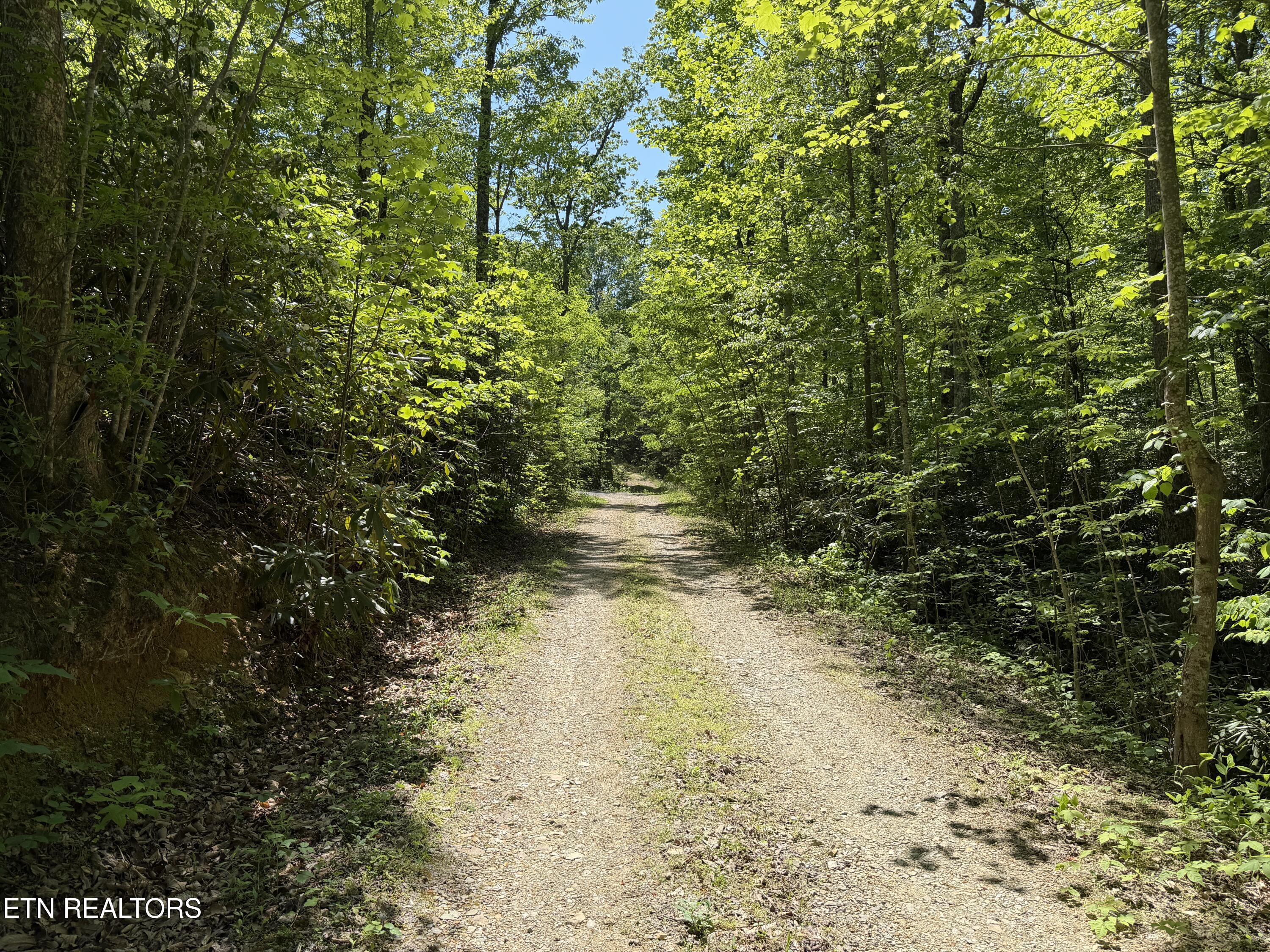 4716 Fred Jennings Road Walland TN 37886