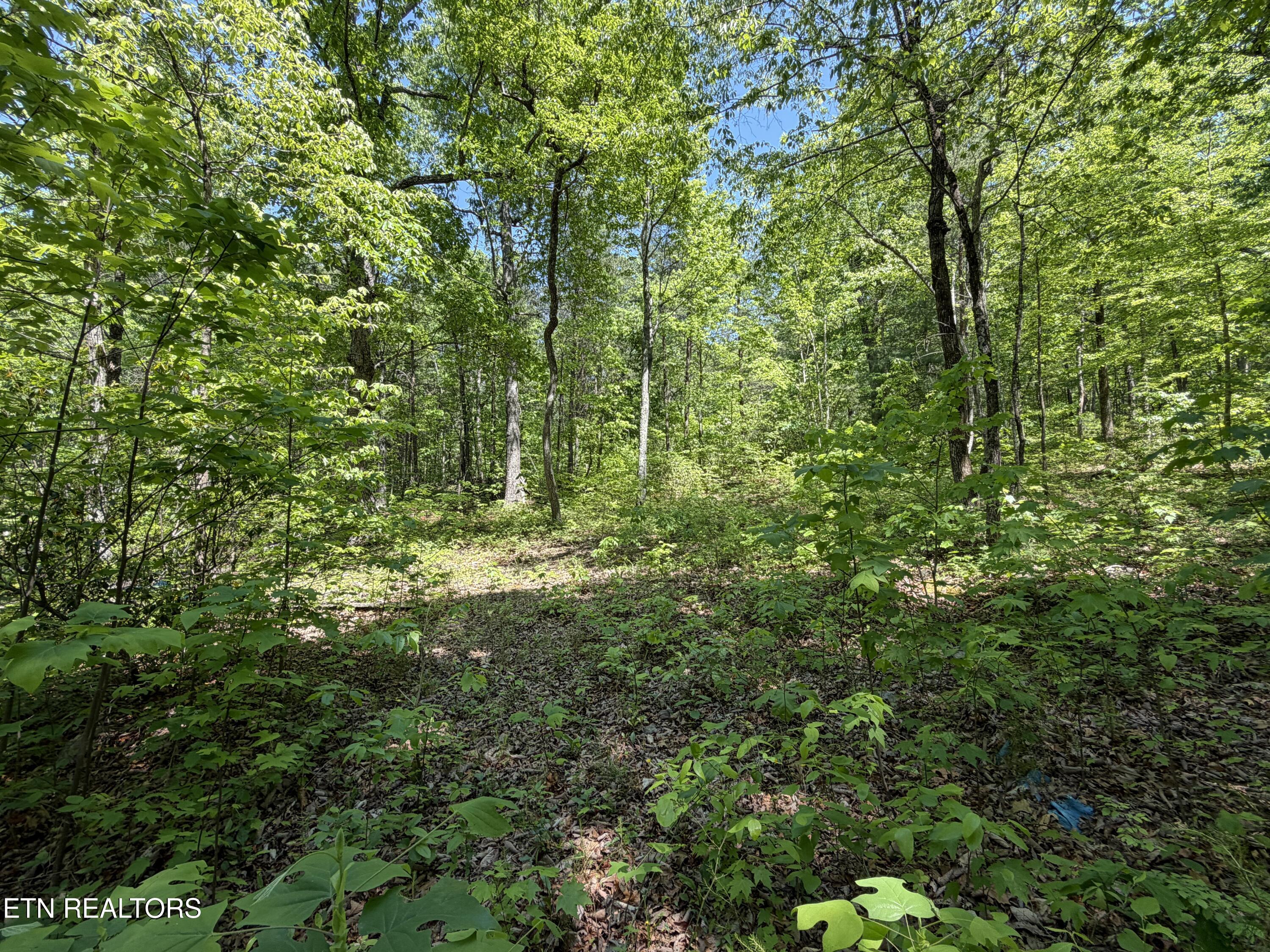 4716 Fred Jennings Road Walland TN 37886