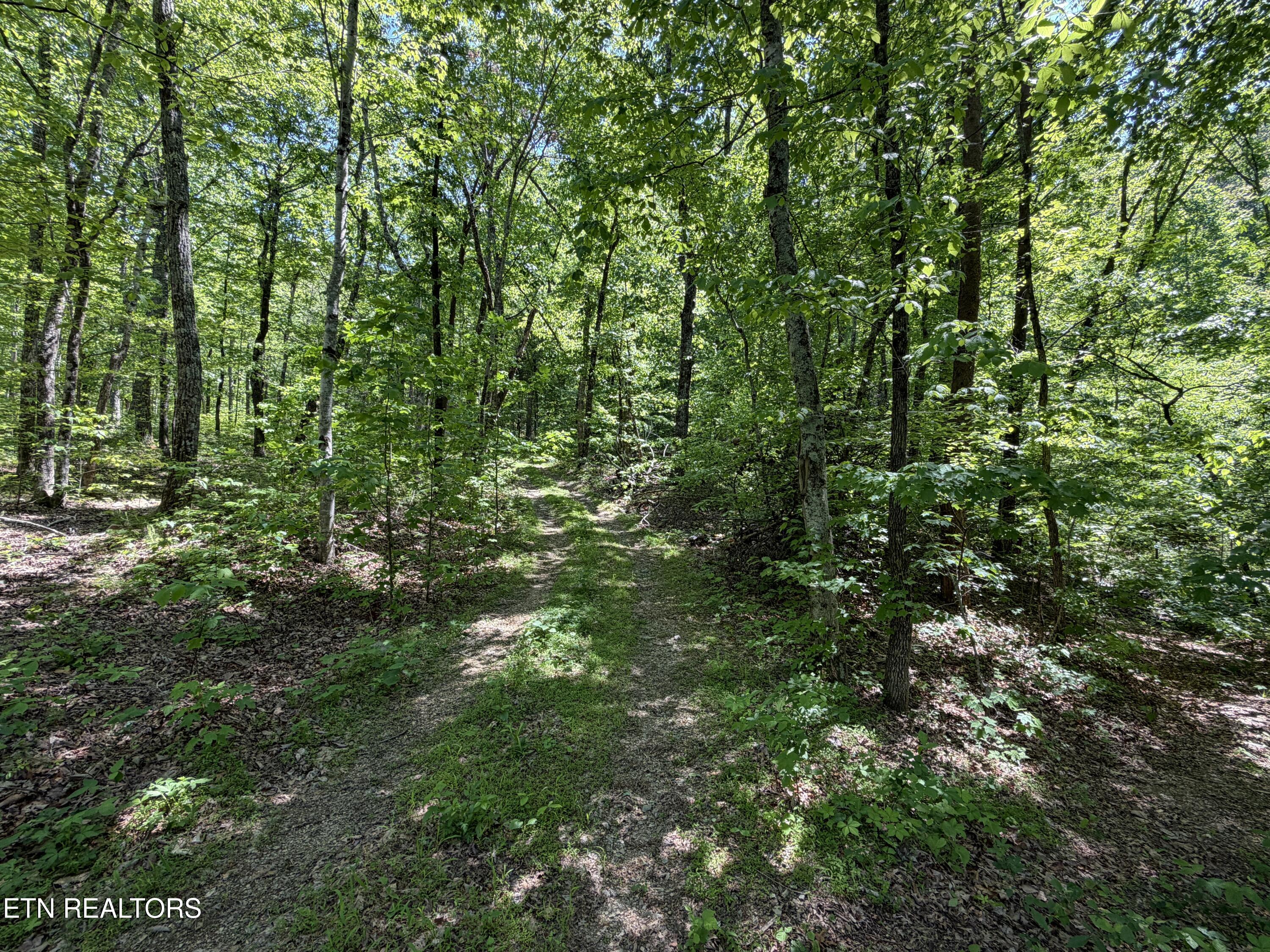 4716 Fred Jennings Road Walland TN 37886