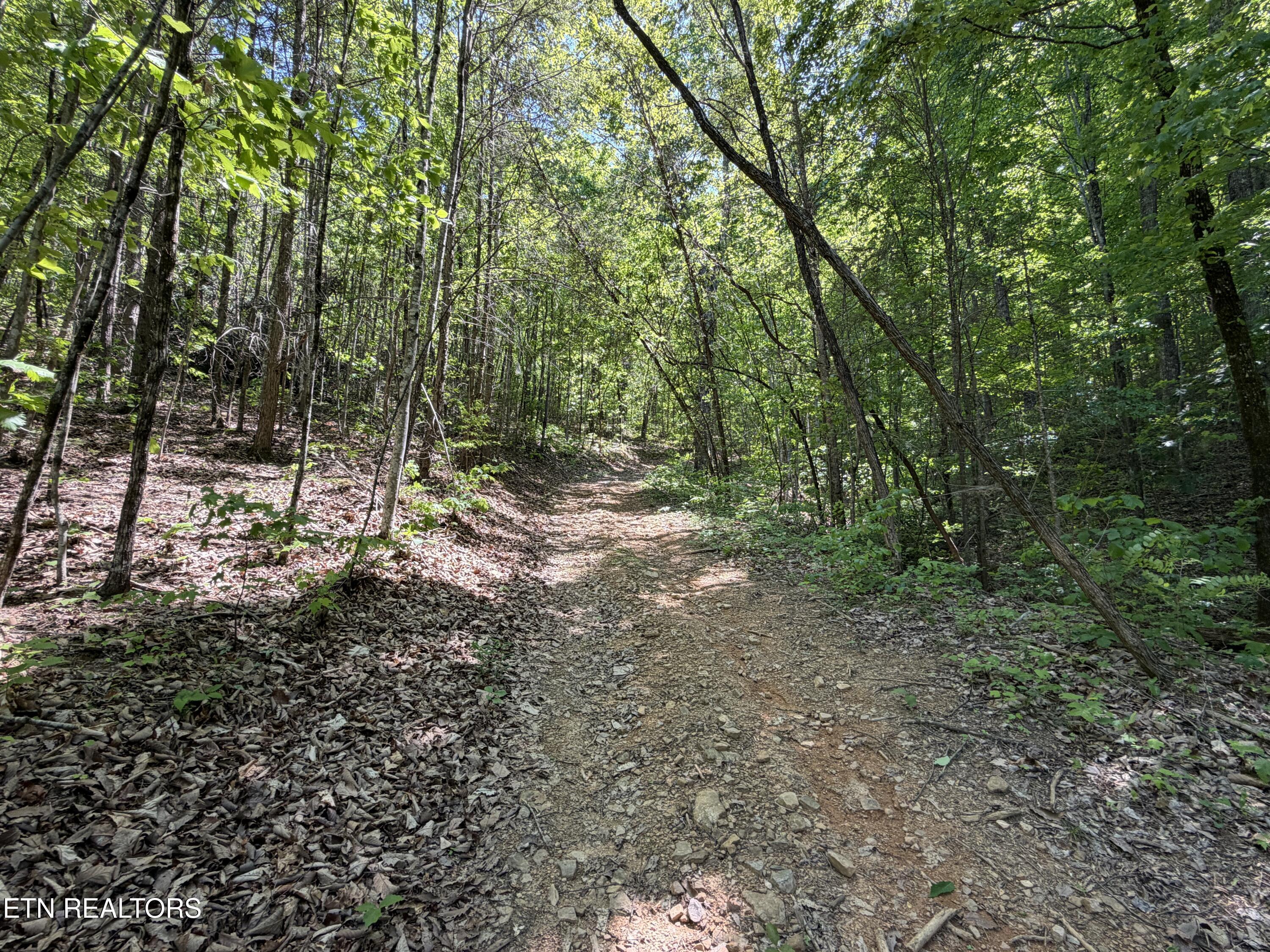 4716 Fred Jennings Road Walland TN 37886
