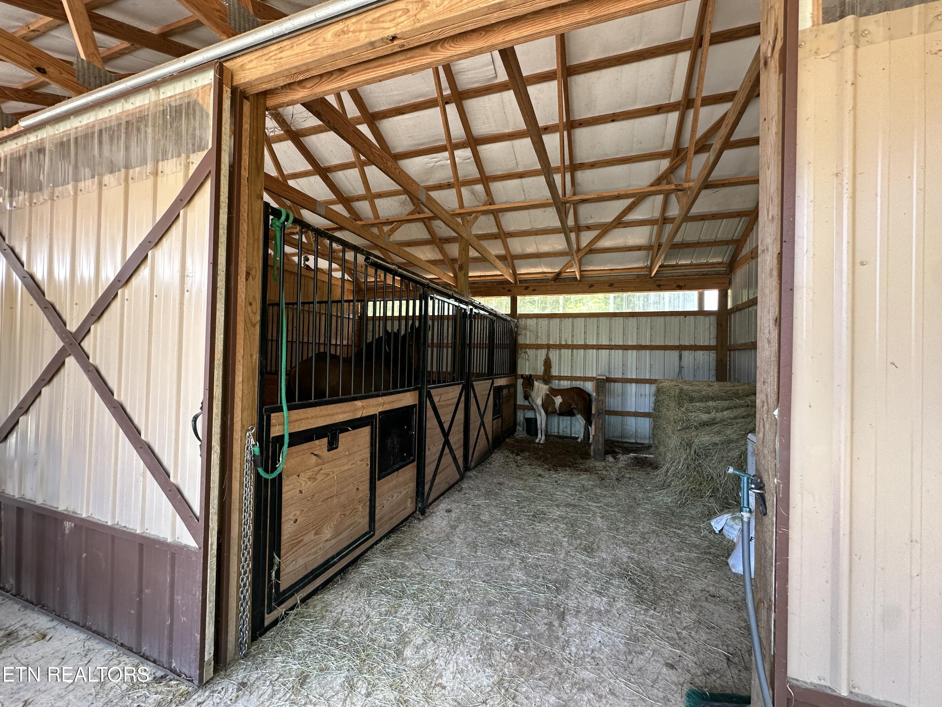 1561 Coon Hollow Road Sunbright TN 37872