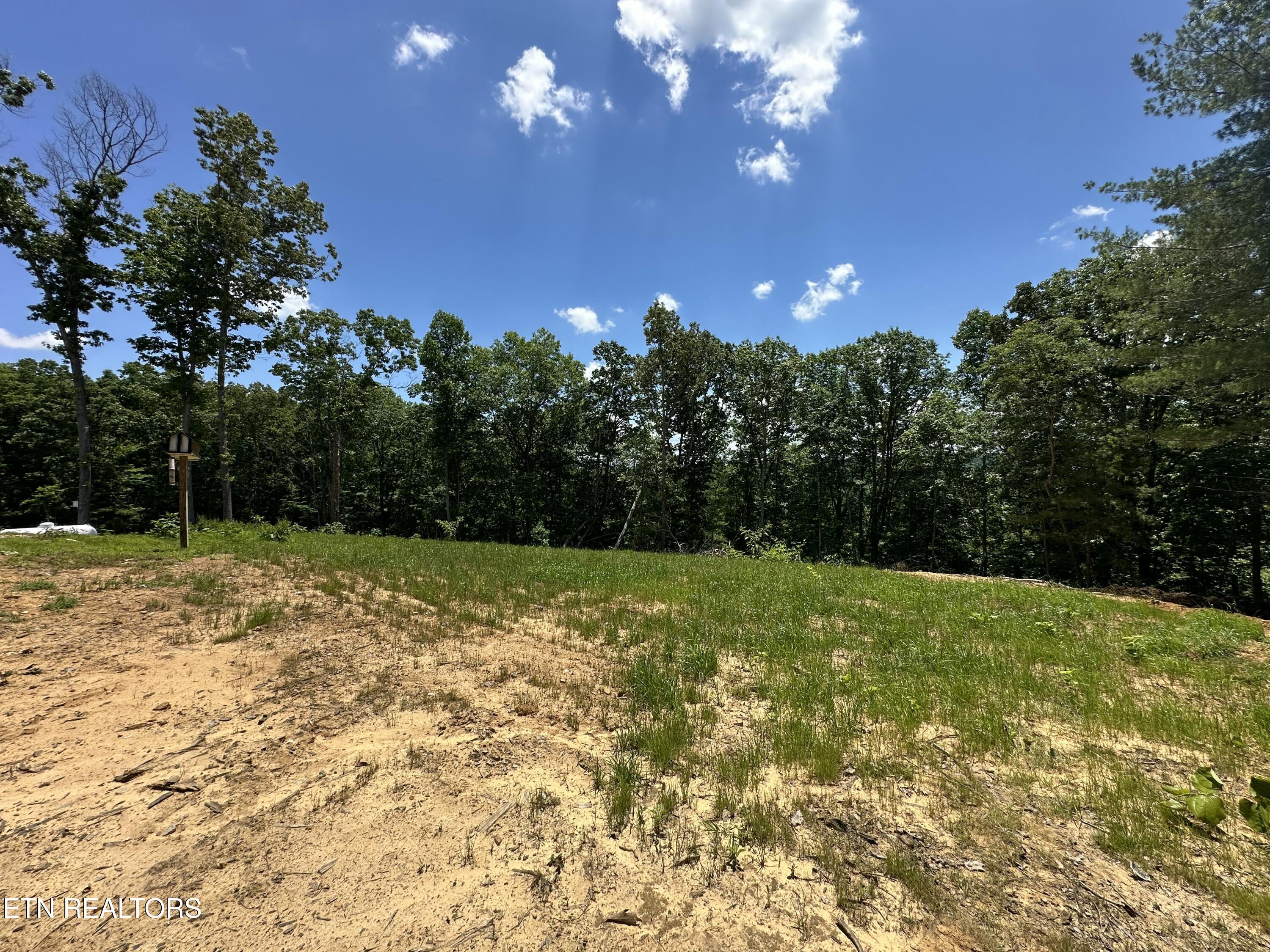 1561 Coon Hollow Road Sunbright TN 37872