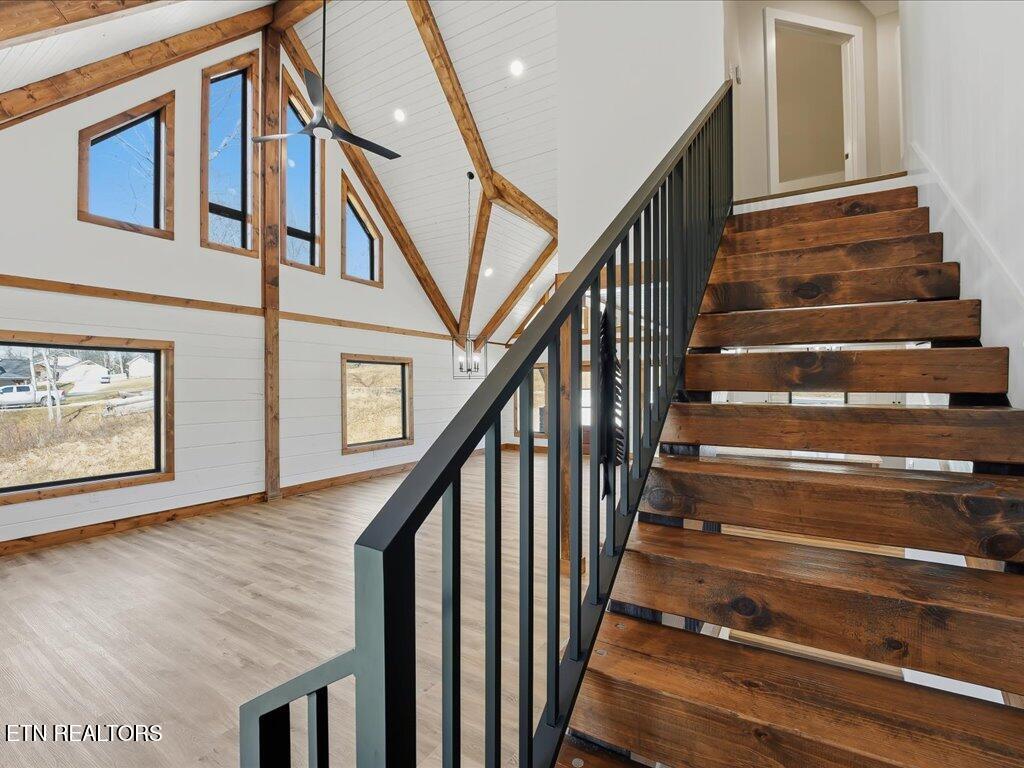 248 Cherokee Cove Rutledge TN 37861
