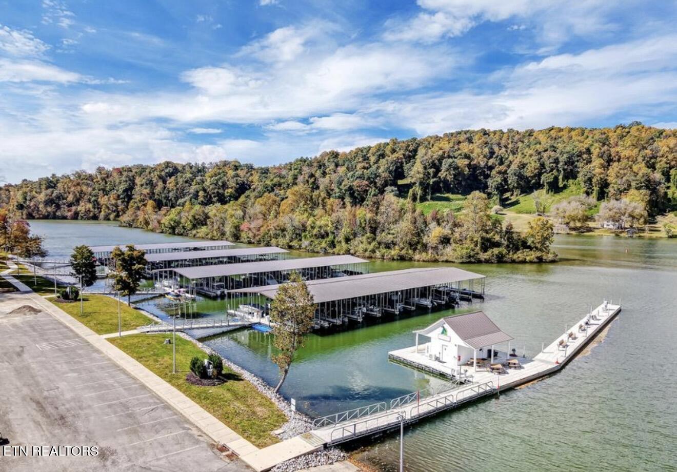 241 Roseberry Street Oak Ridge TN 37830