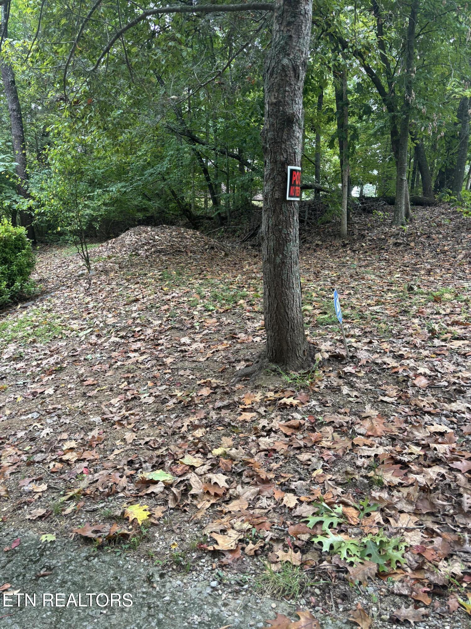 802 Hinkle Road Seymour TN 37865