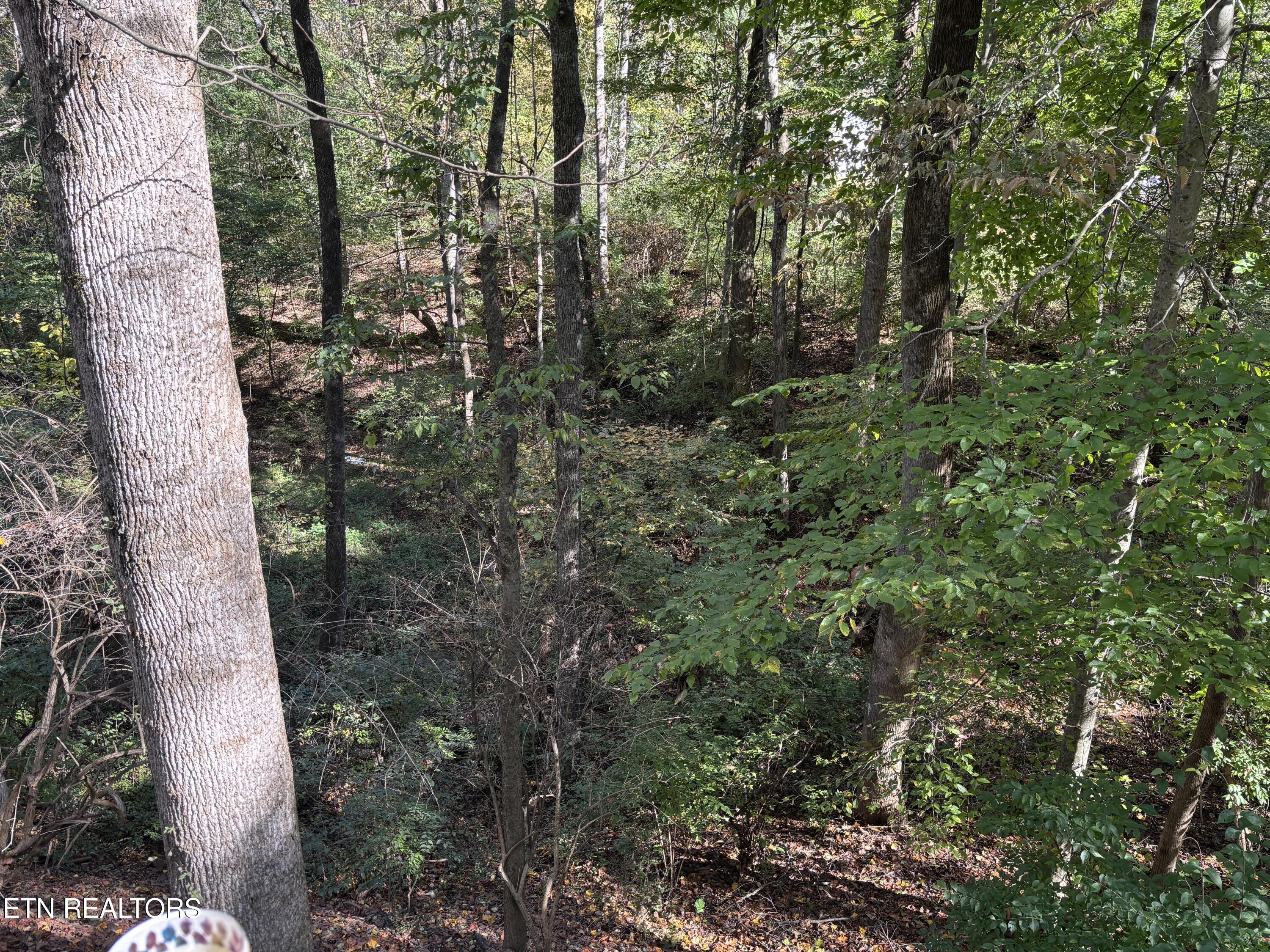 802 Hinkle Road Seymour TN 37865