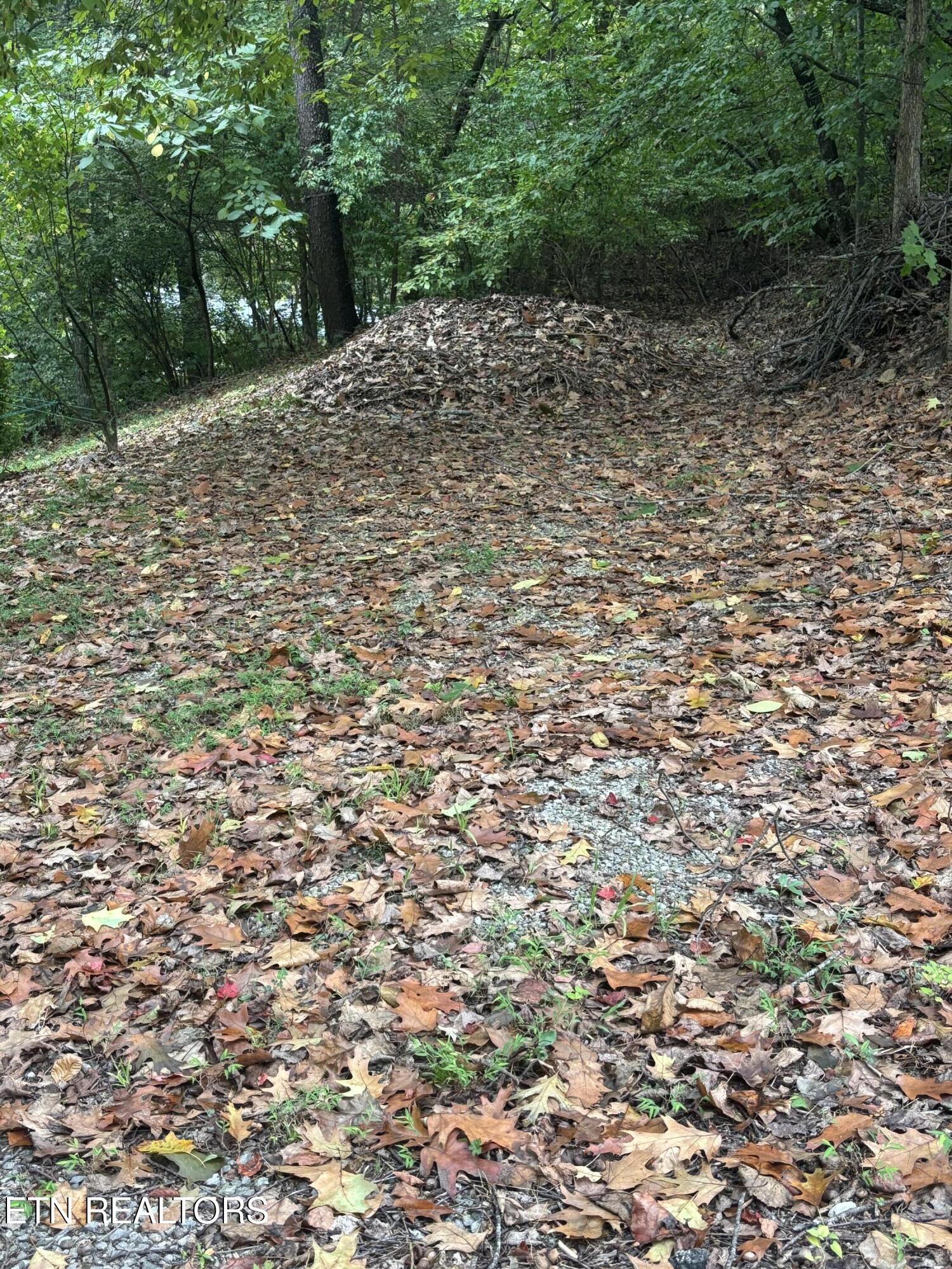 802 Hinkle Road Seymour TN 37865