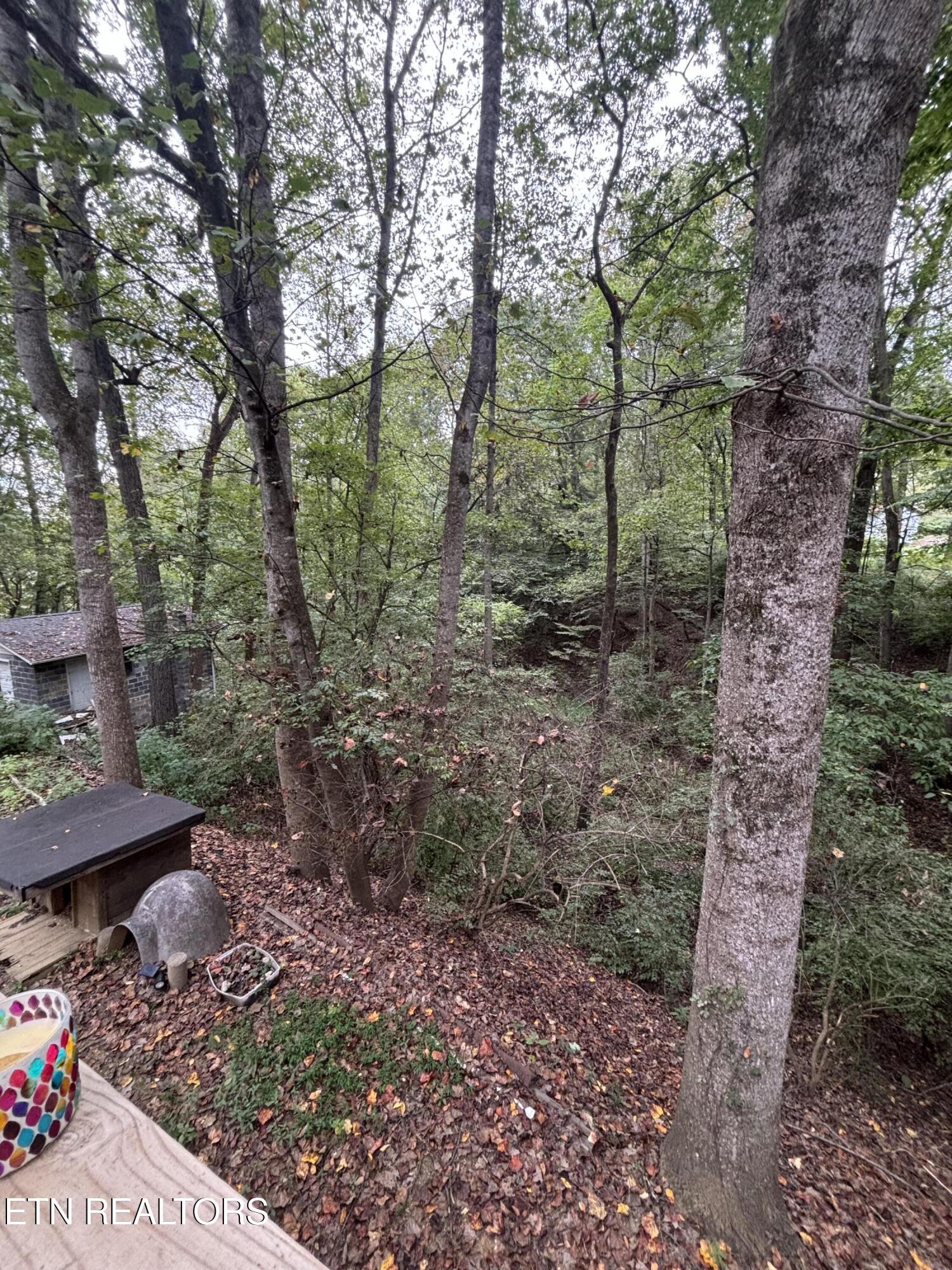 802 Hinkle Road Seymour TN 37865