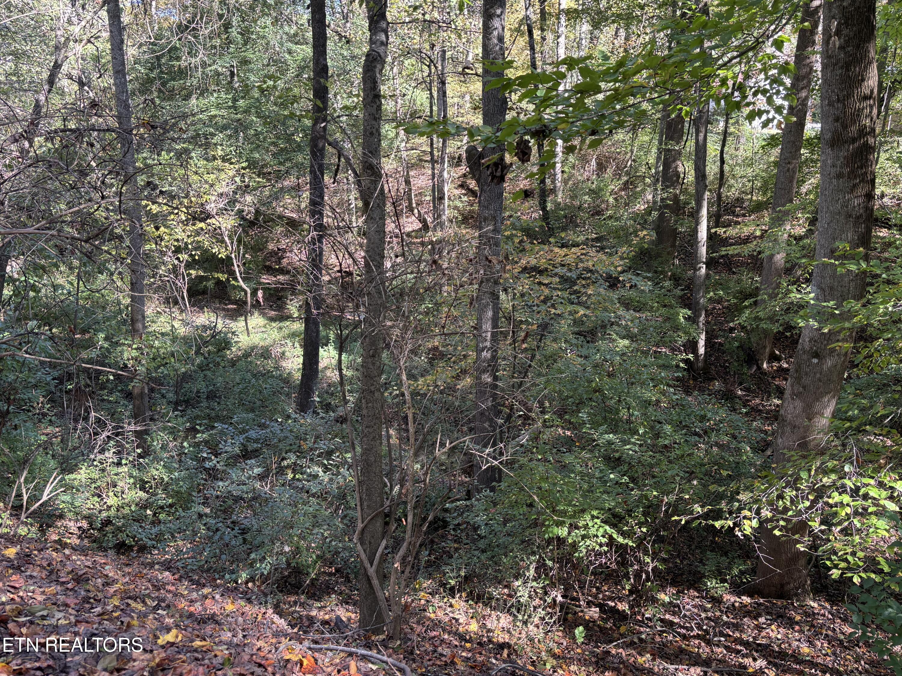 802 Hinkle Road Seymour TN 37865