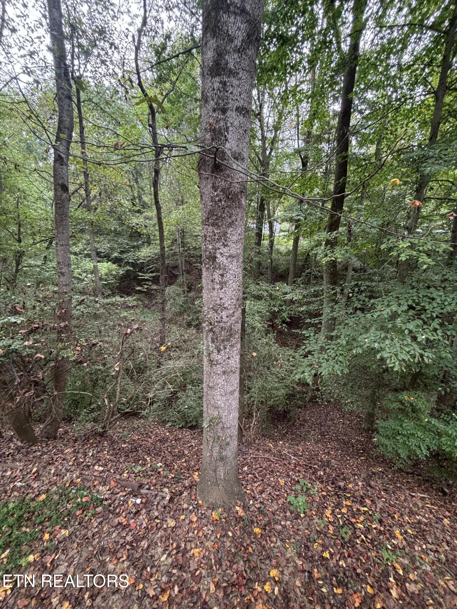 802 Hinkle Road Seymour TN 37865