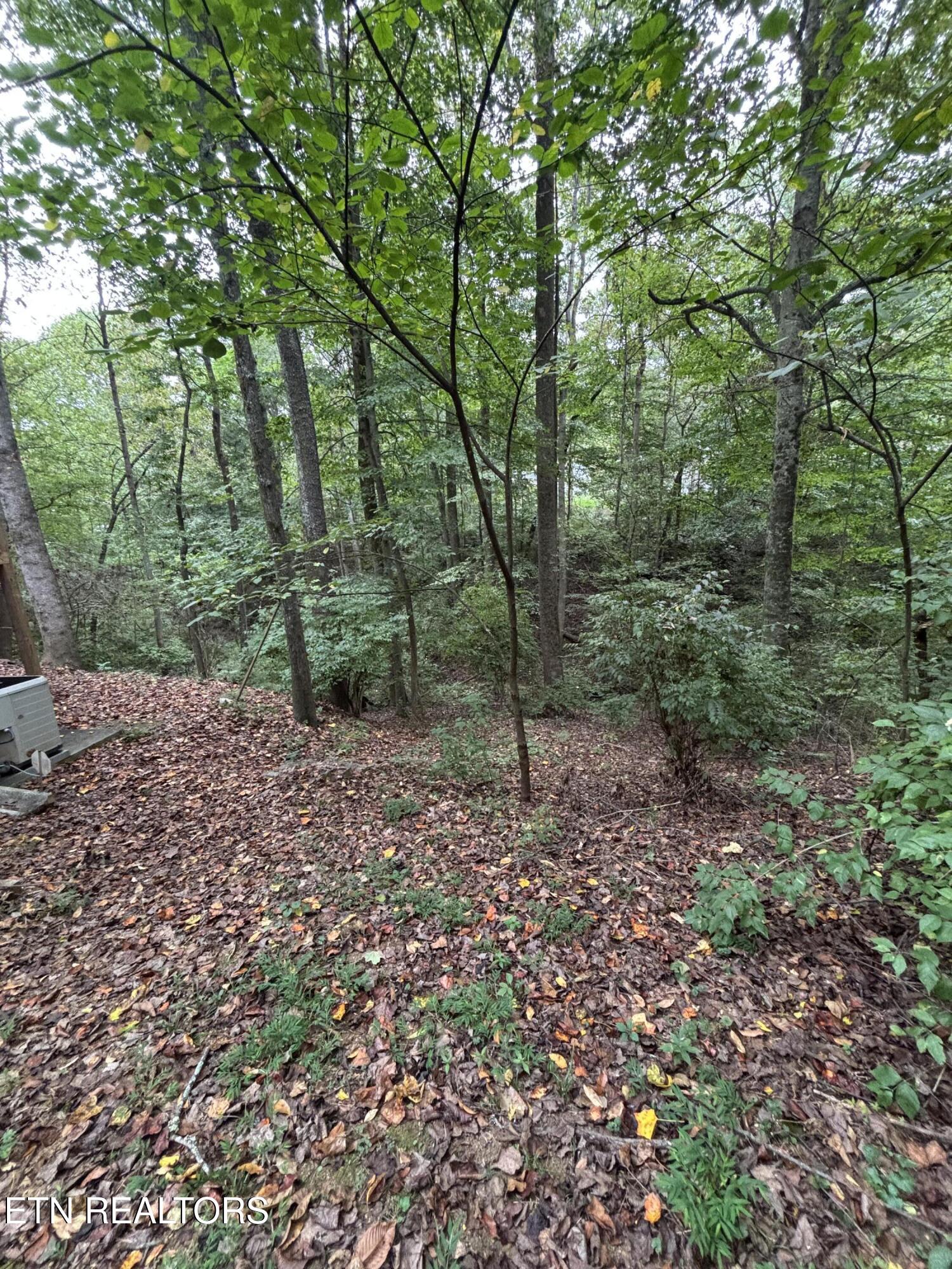 802 Hinkle Road Seymour TN 37865