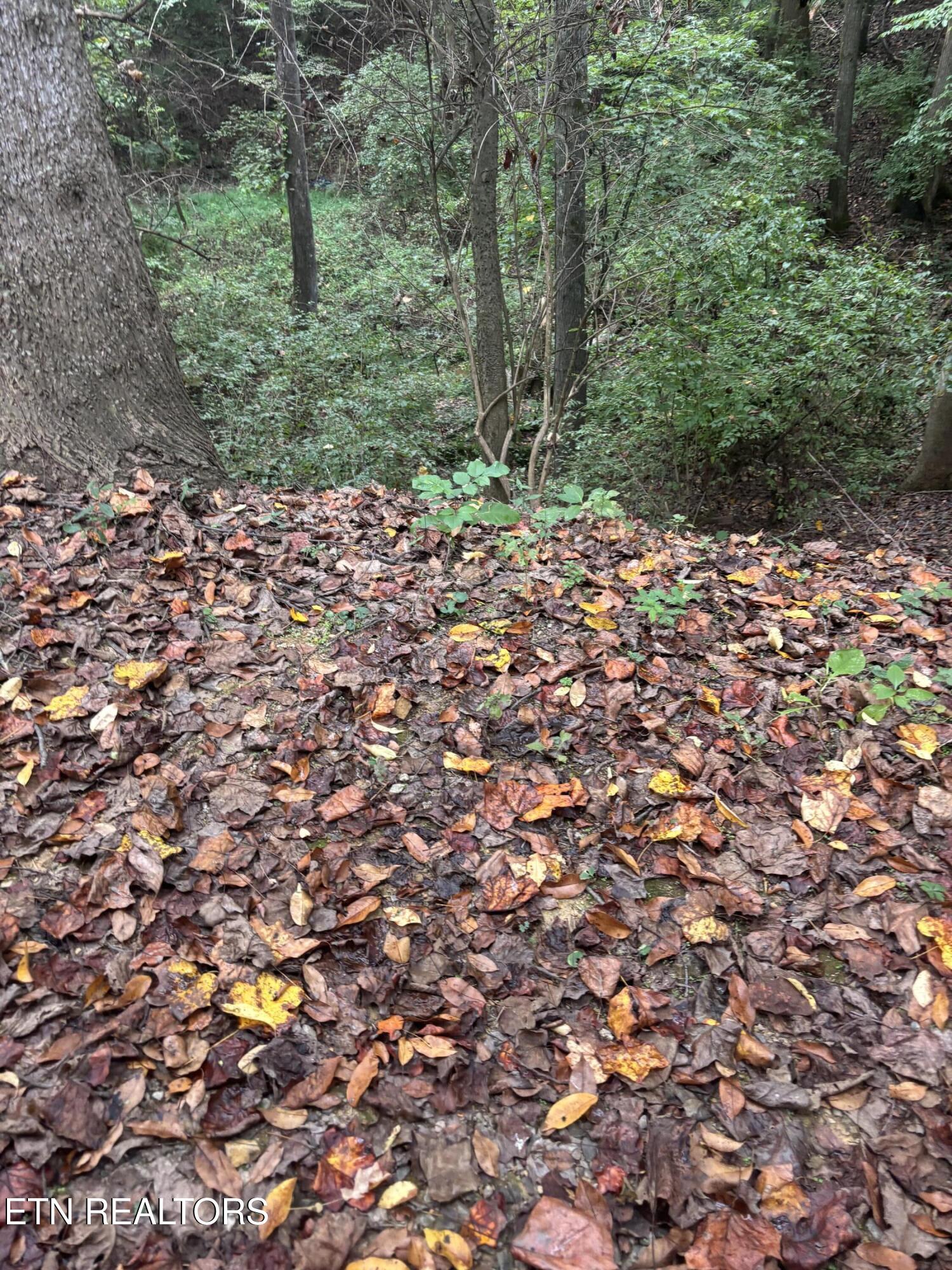 802 Hinkle Road Seymour TN 37865