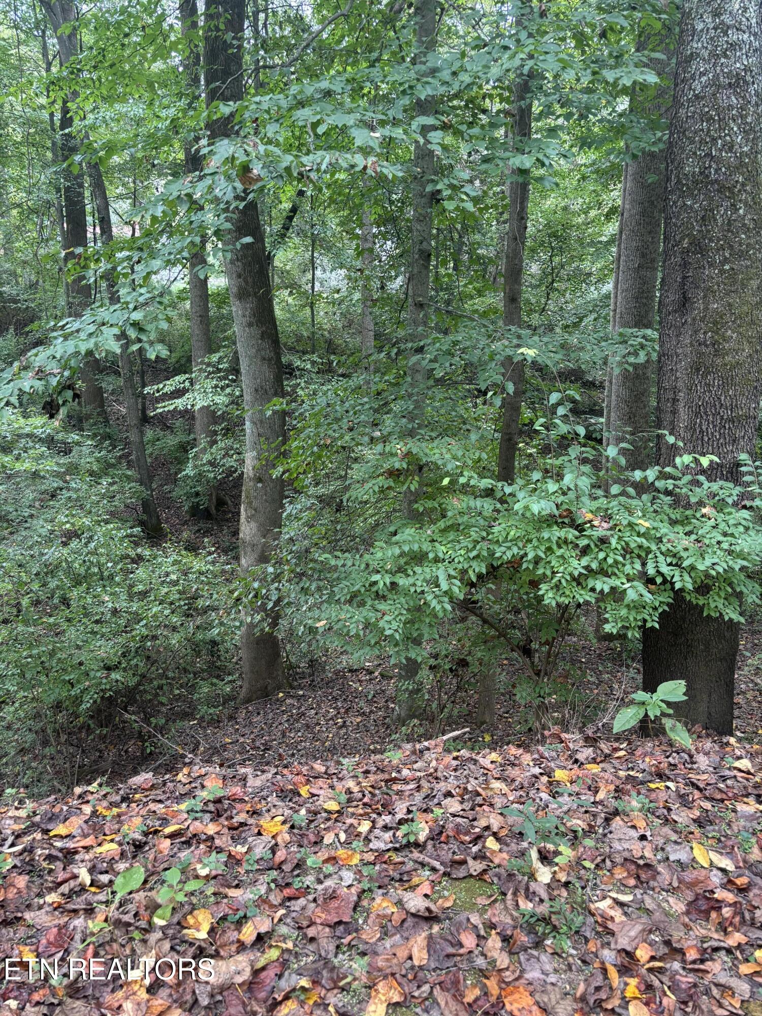 802 Hinkle Road Seymour TN 37865