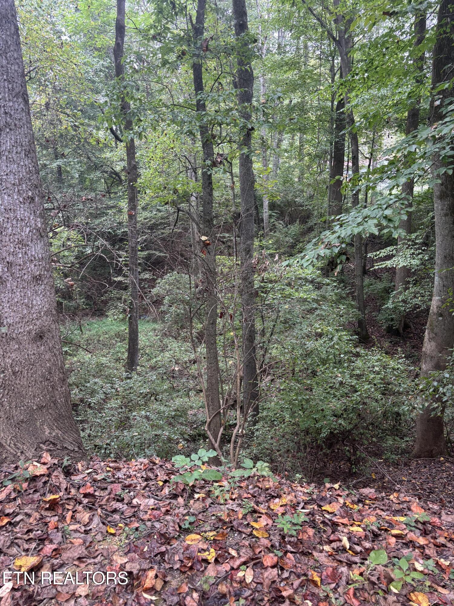 802 Hinkle Road Seymour TN 37865