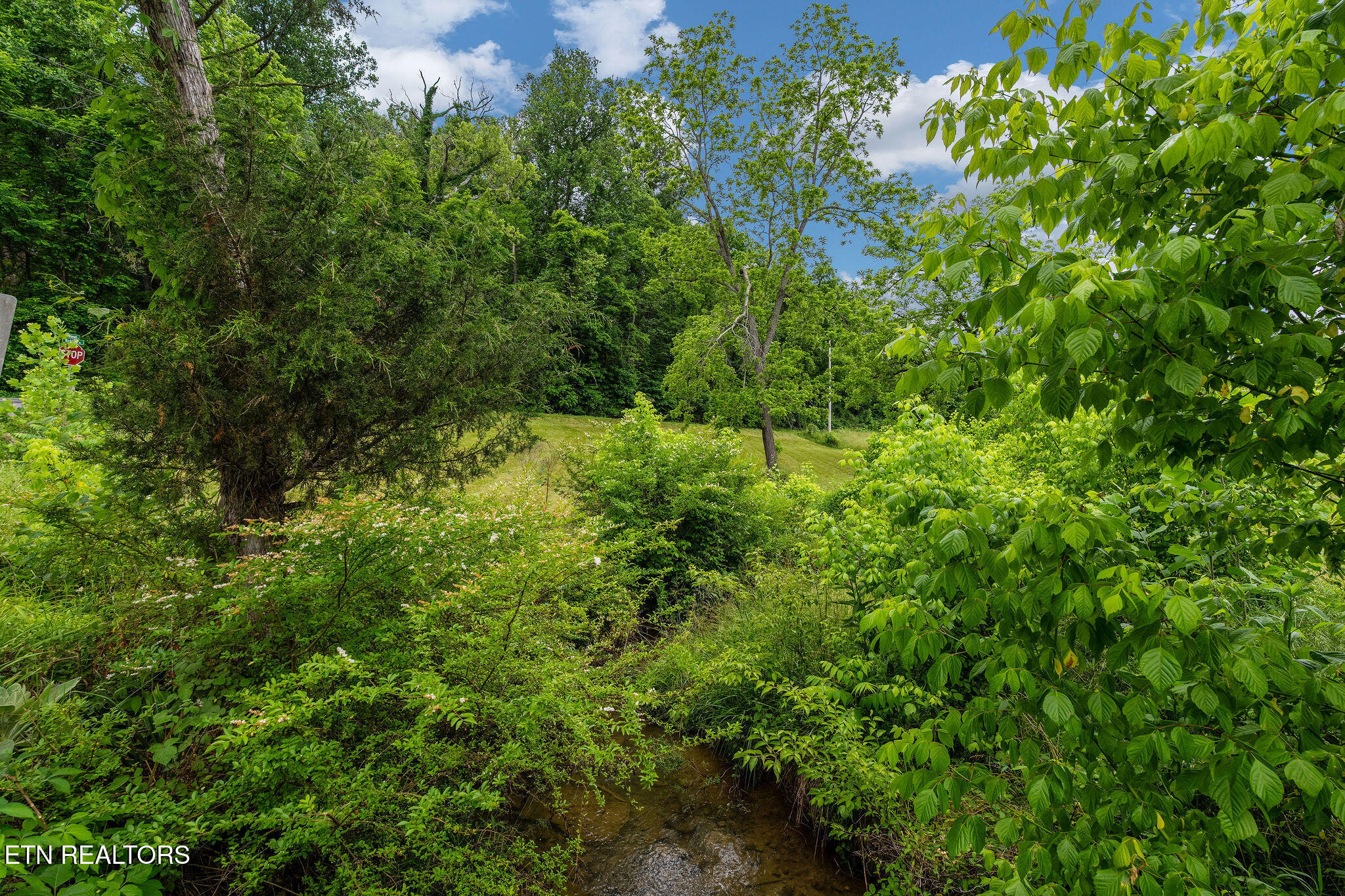 630 Briar Patch Lane Greeneville TN 37745