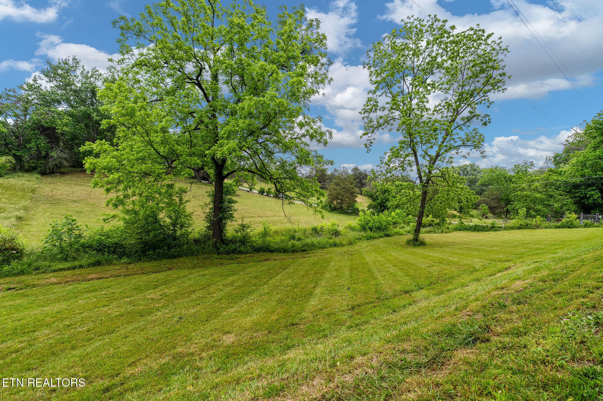 630 Briar Patch Lane Greeneville TN 37745