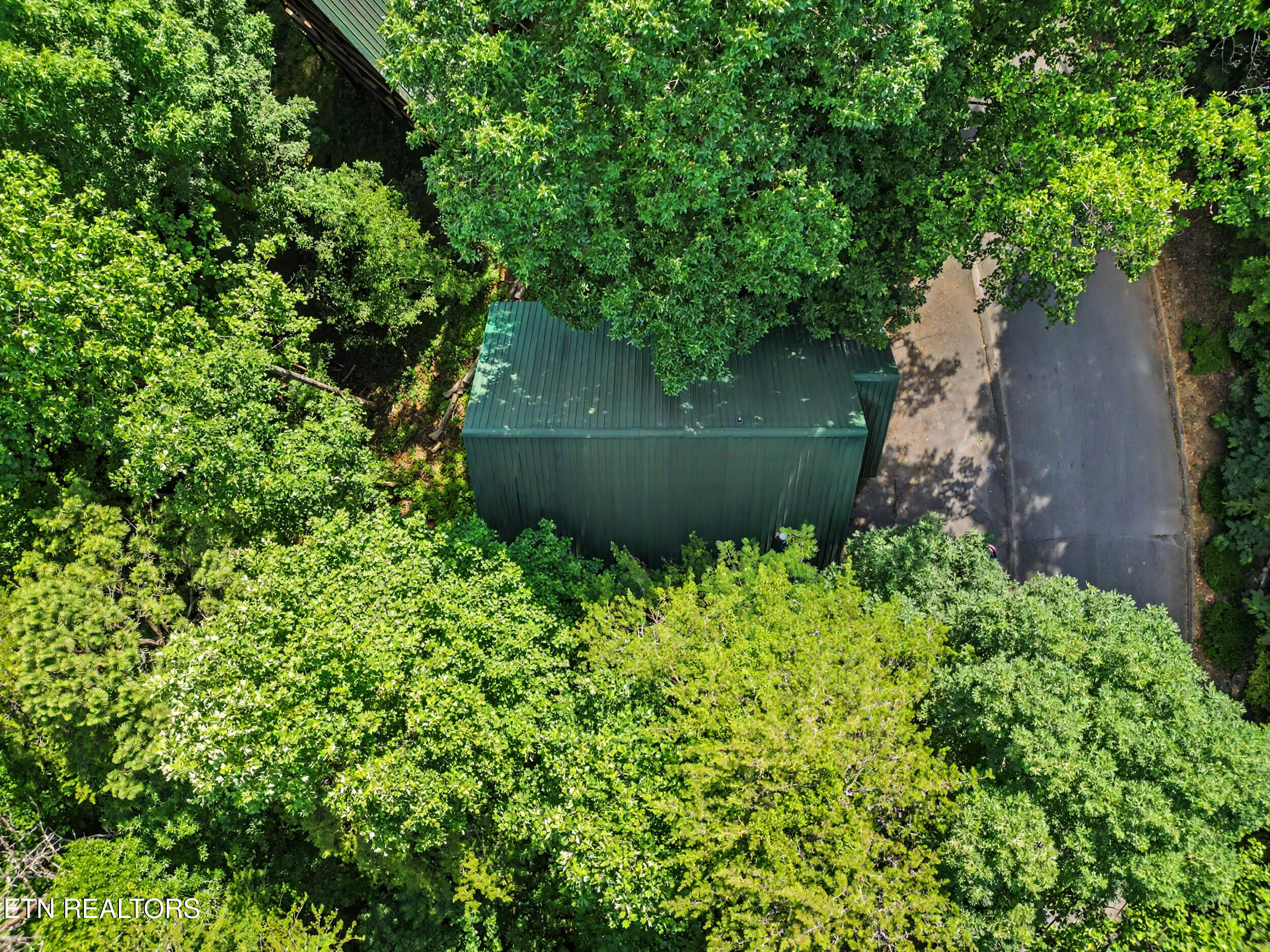 4414 Forest Vista Way Pigeon Forge TN 37863